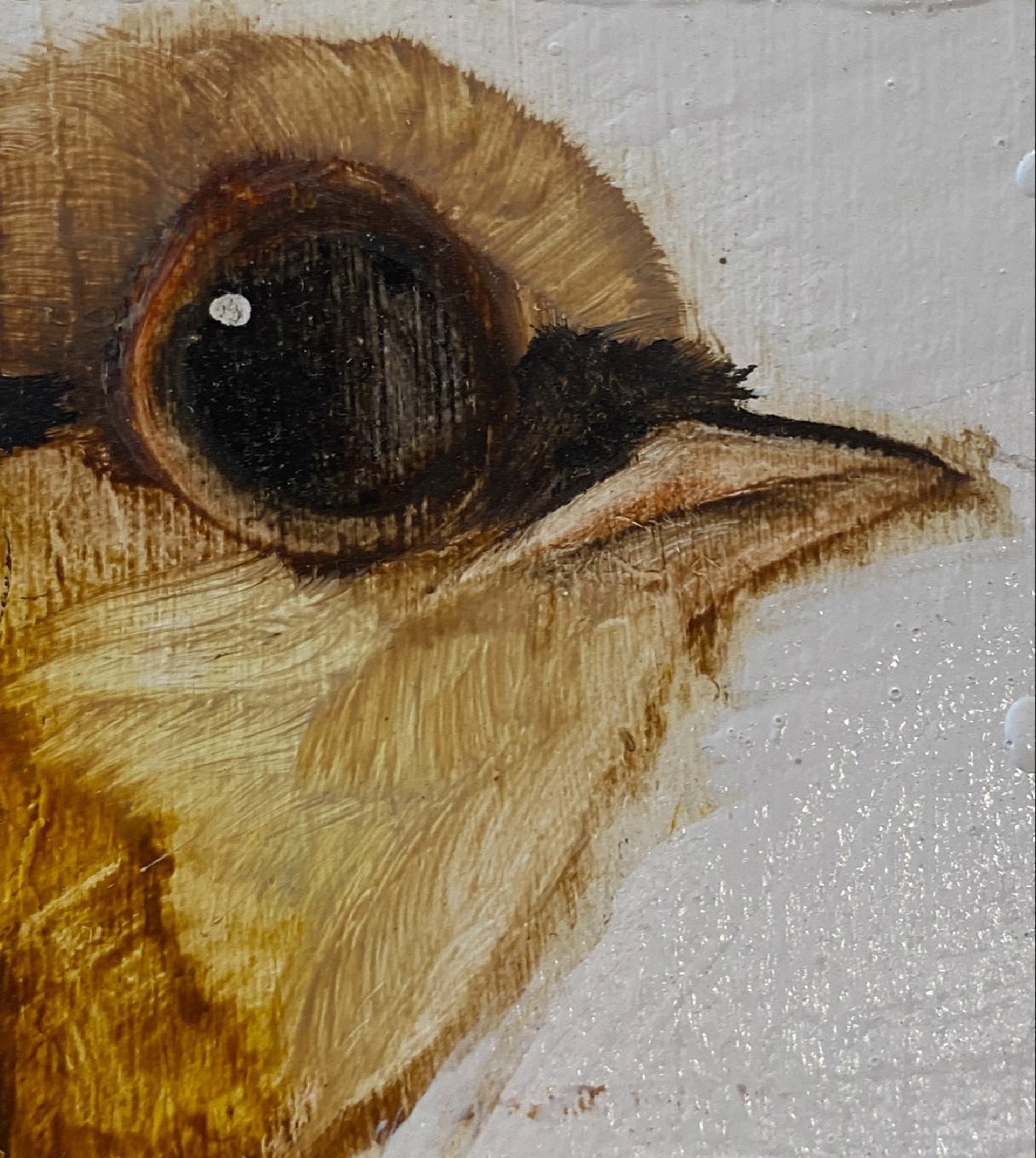 Tiny Bird Block by Diane Kilgore Condon