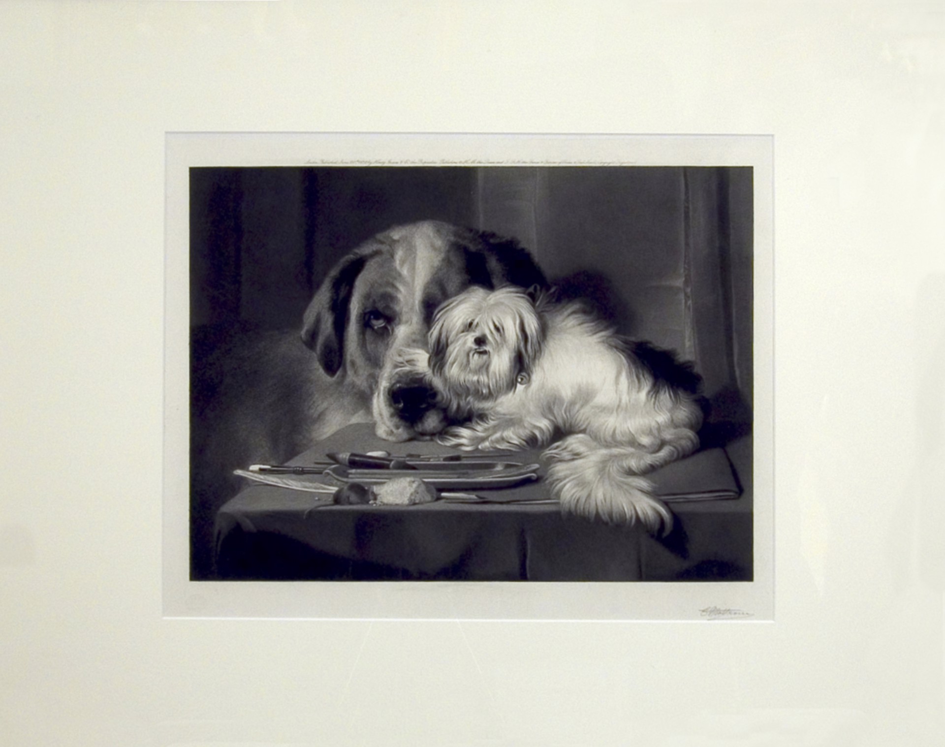 The Lion Dog, From Malta. The Last of his Tribe by Sir Edwin Landseer