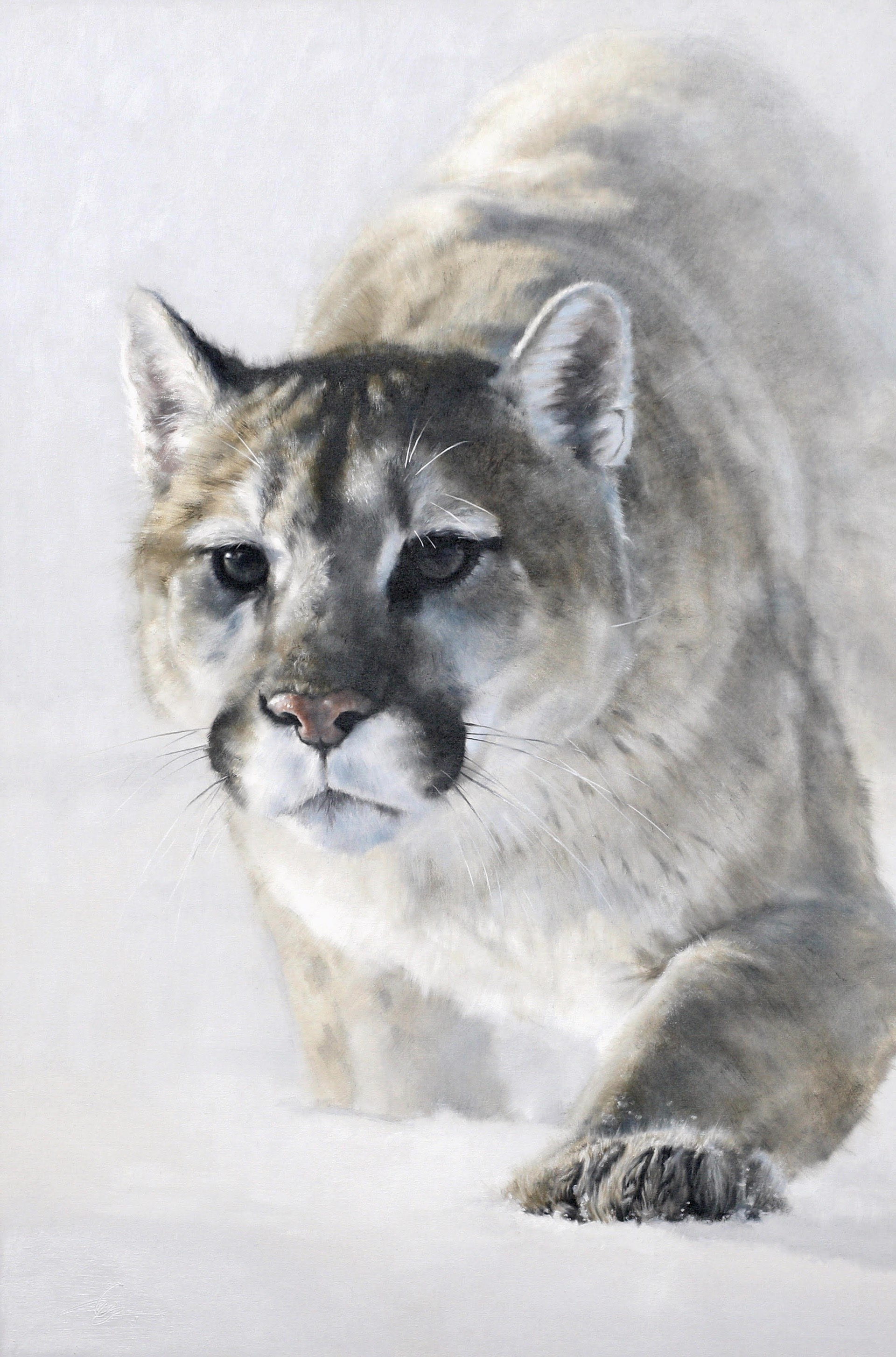 Original Oil Painting Featuring A Cougar Stalking Through Snowy White Background