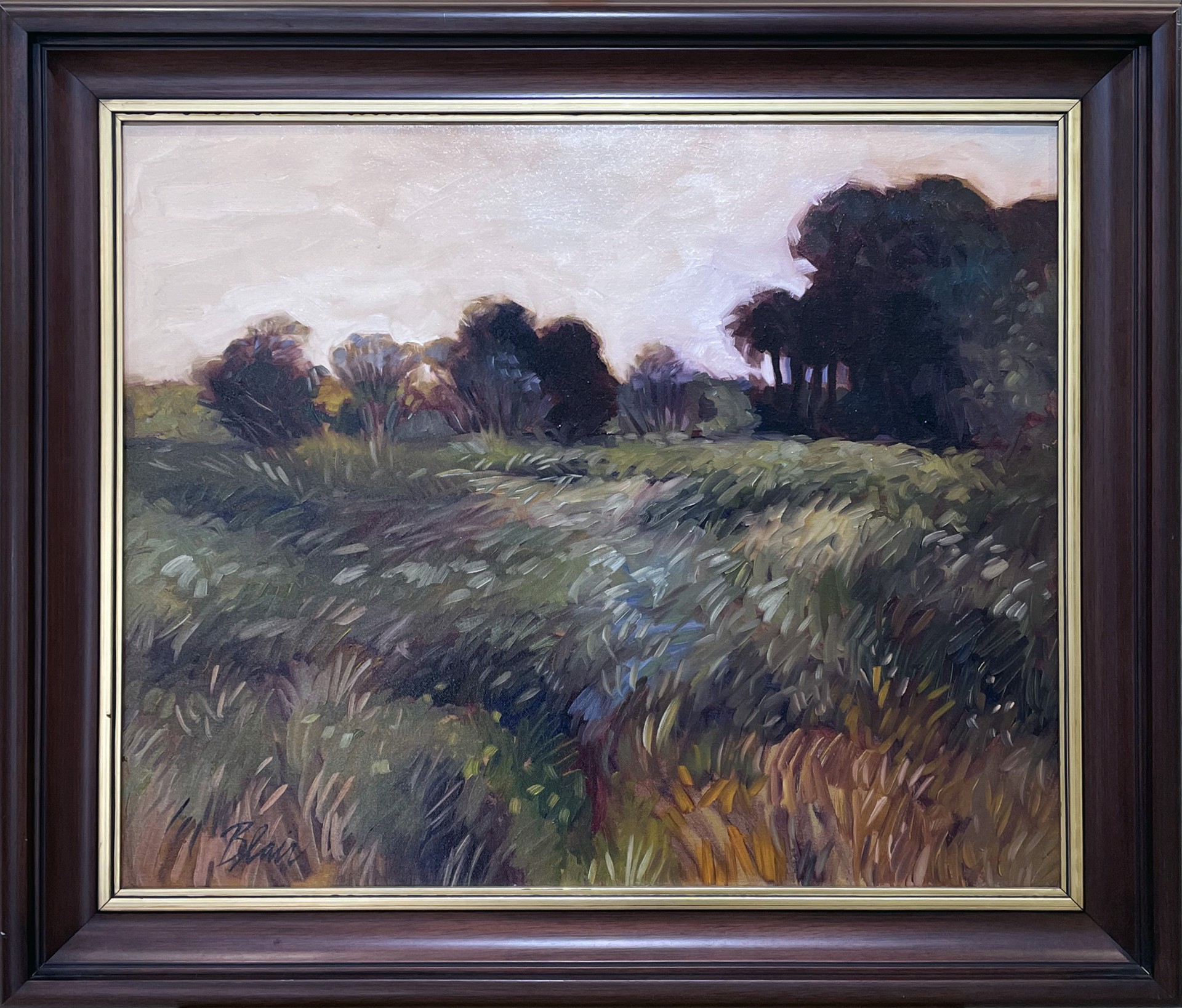 Paynes Prairie by Eleanor Blair