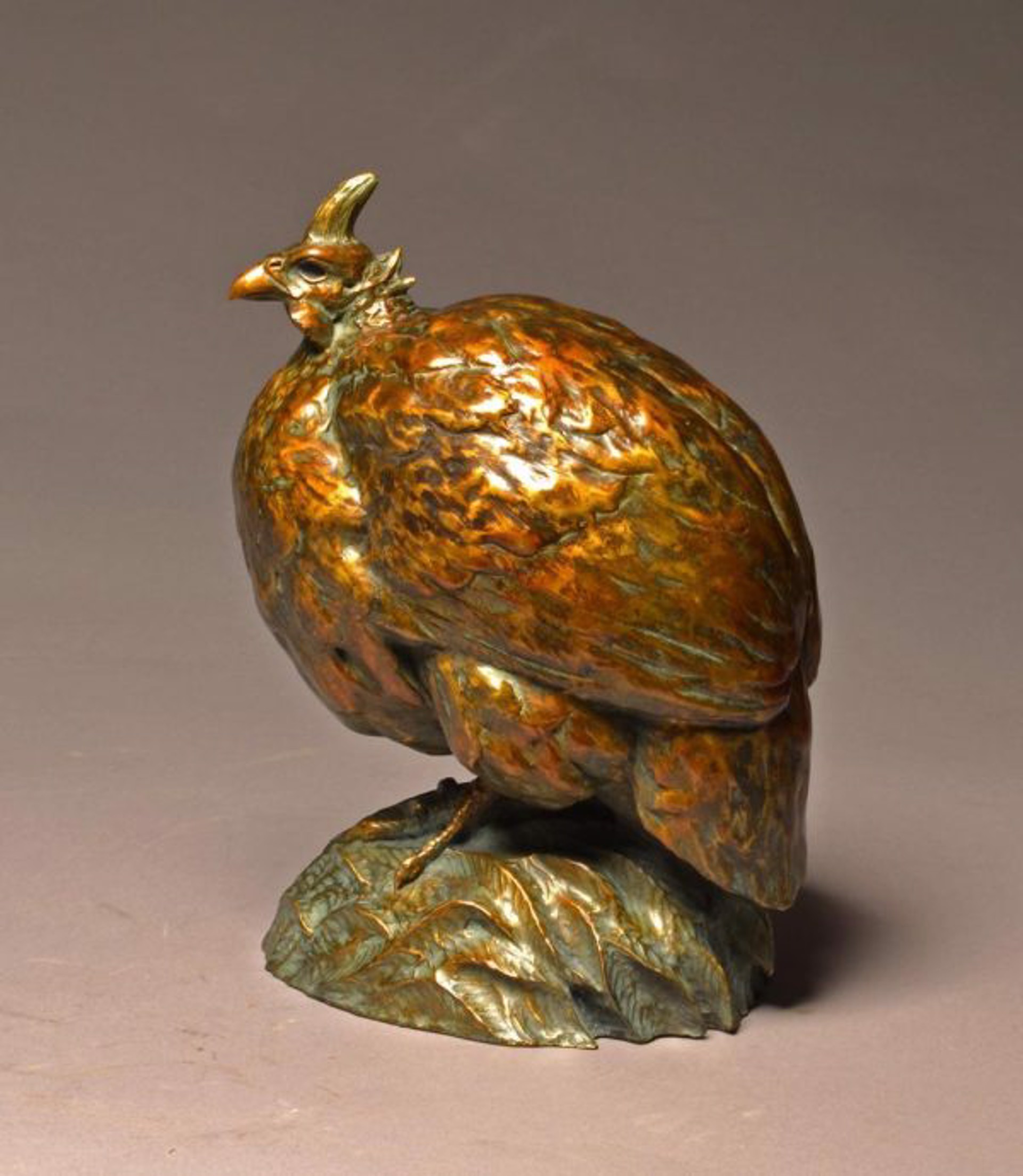 Fowl Ball (Helmeted Guinea Fowl) by Stefan Savides