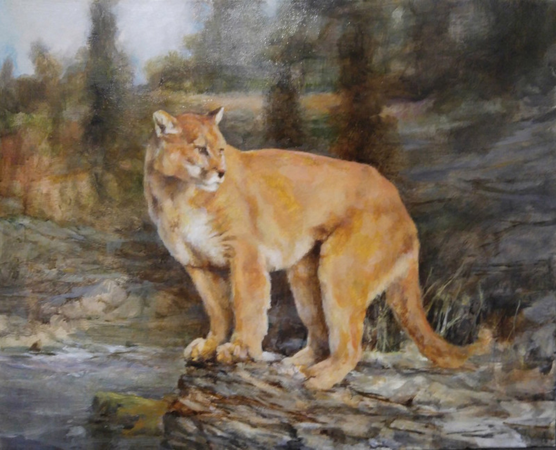 Mountain Lion Moment by Rino Friio