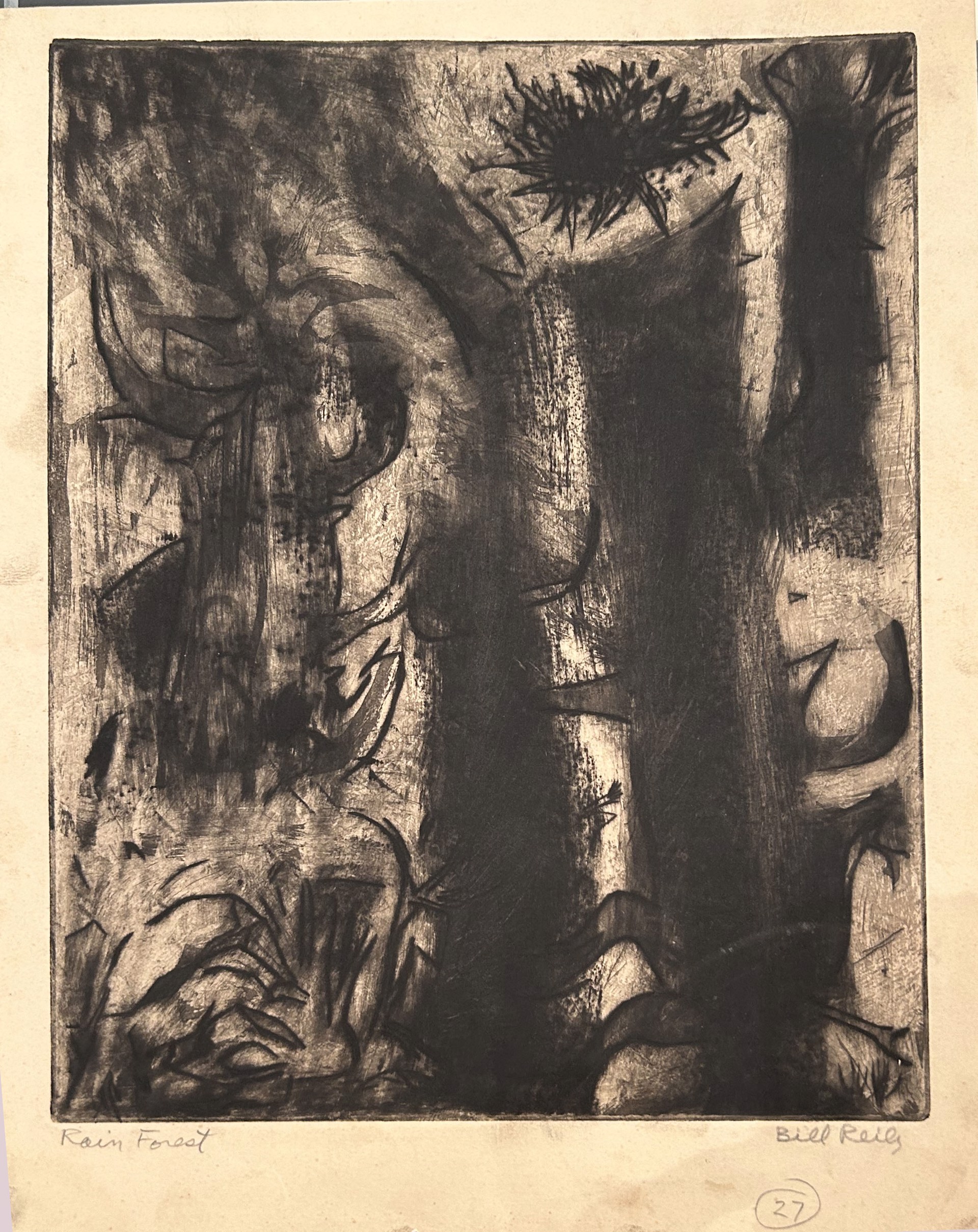 27e. Rain Forest by Bill Reily Prints