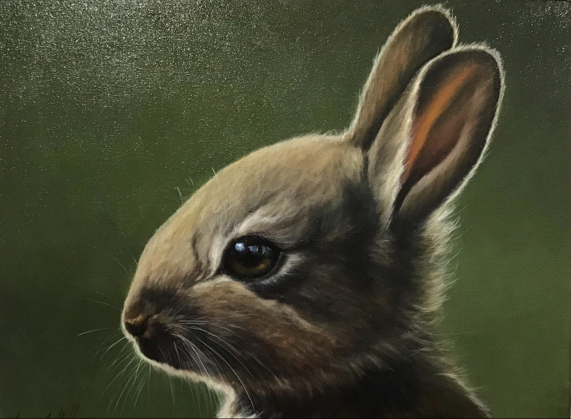 Rabbit by James J. Williams