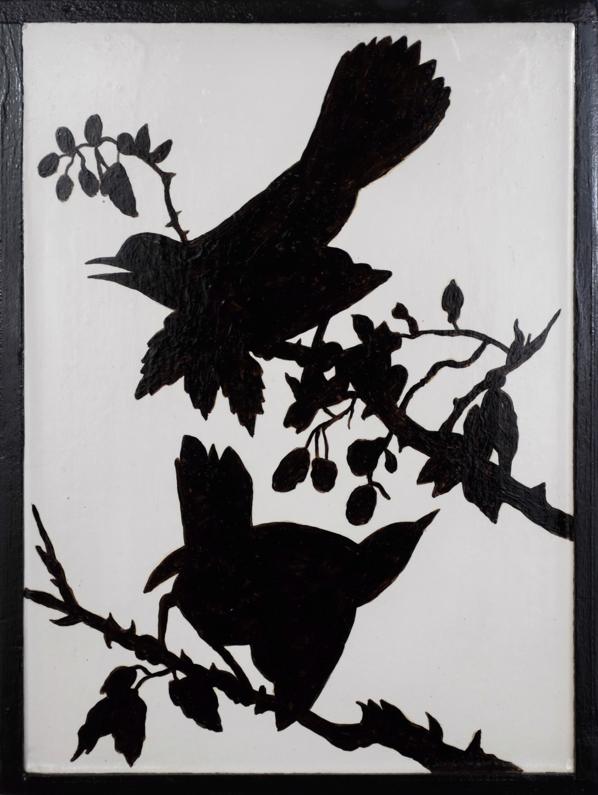 Gray Catbird by Tim Hunter