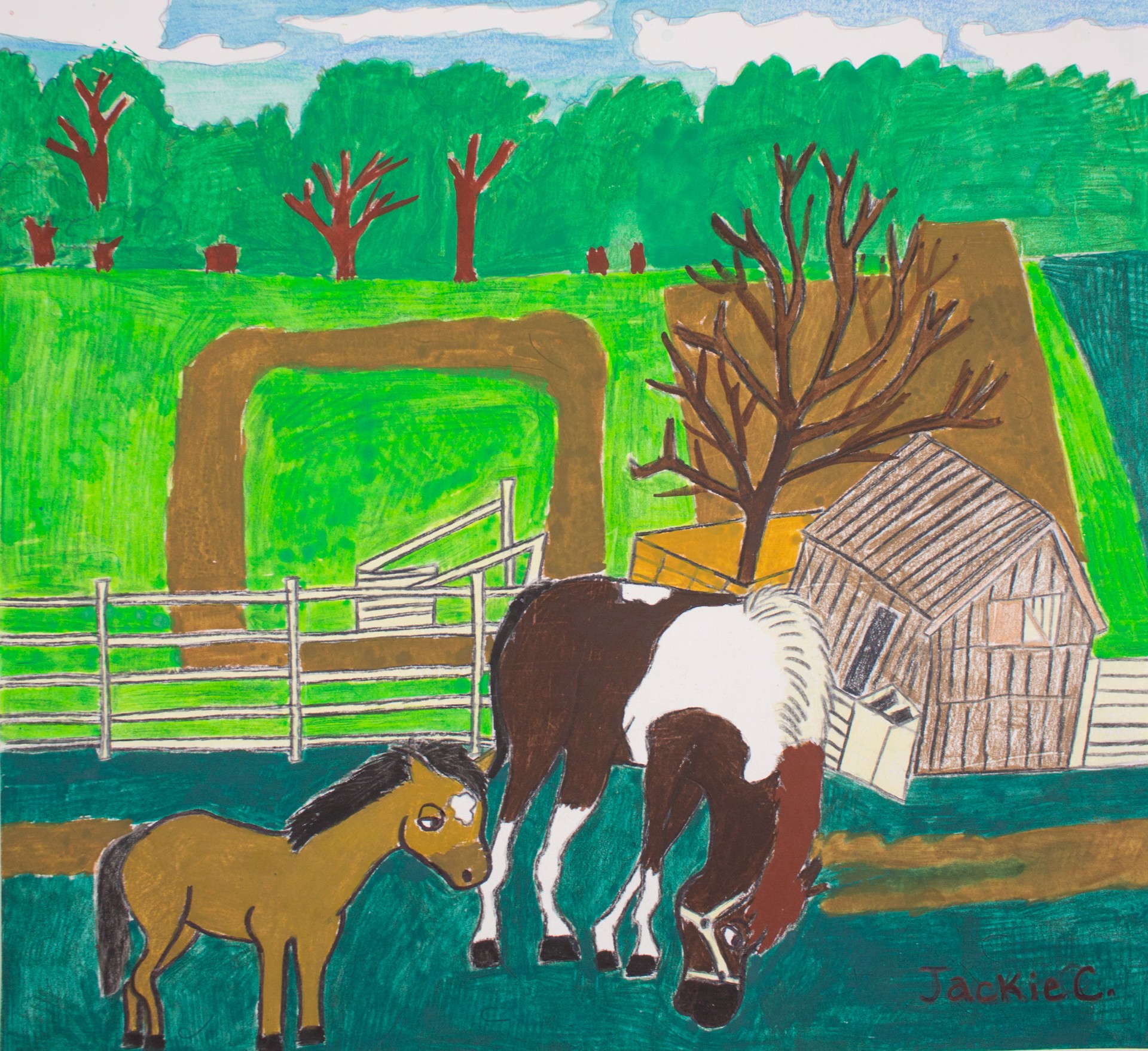 The Ranch by Jacqueline Coleman