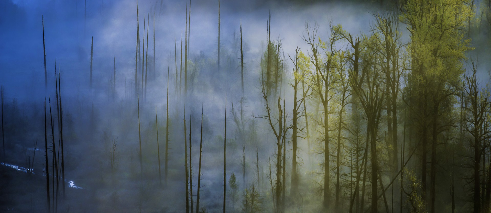 Morning Mist on the Lillooet  by BLAKE JORGENSON