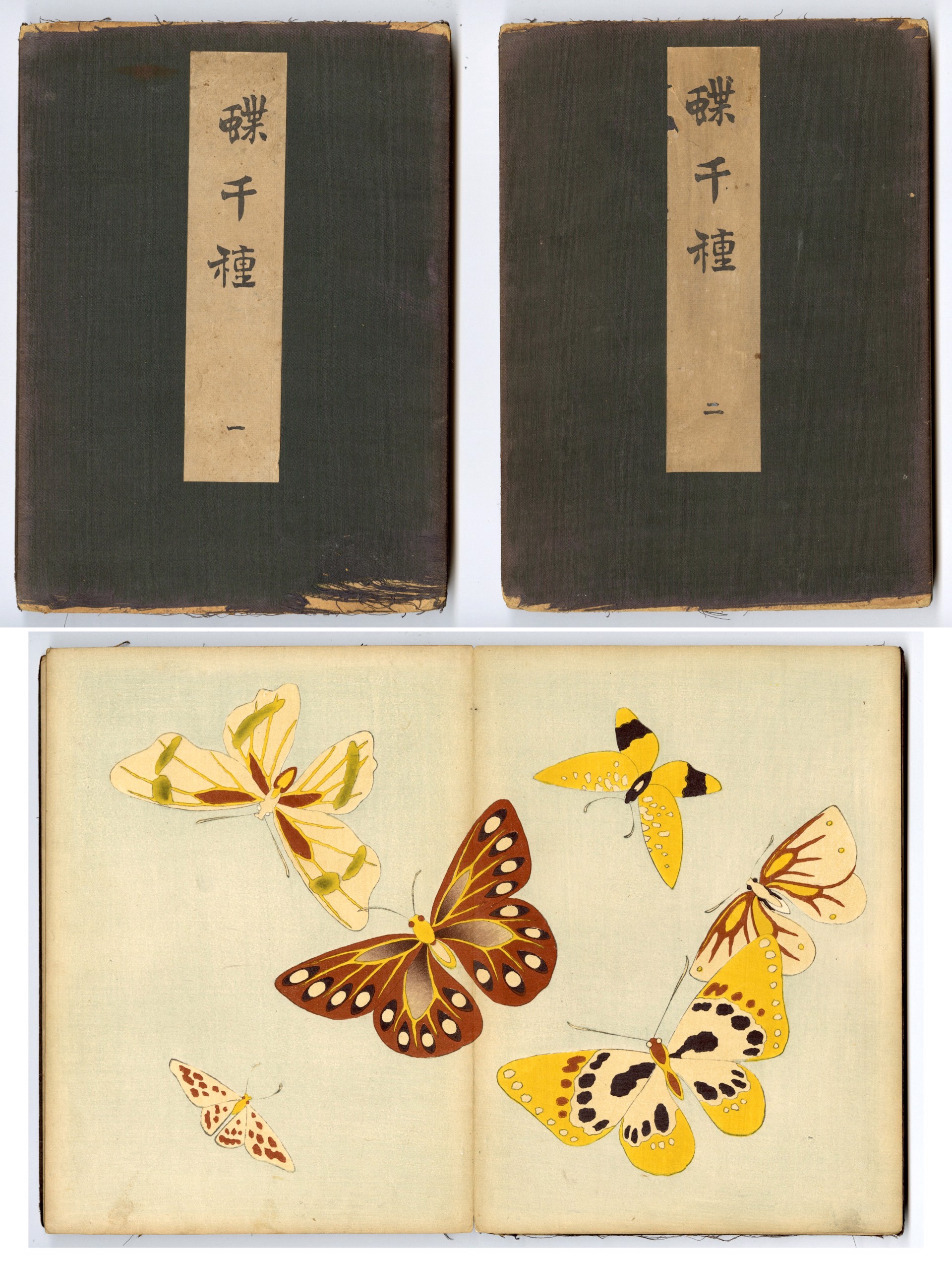 Cho Senshu (1000 Butterflies) by Kamisaka Sekka | The Art of Japan Cho Senshu (1000 Butterflies) by Kamisaka Sekka | The Art of Japan