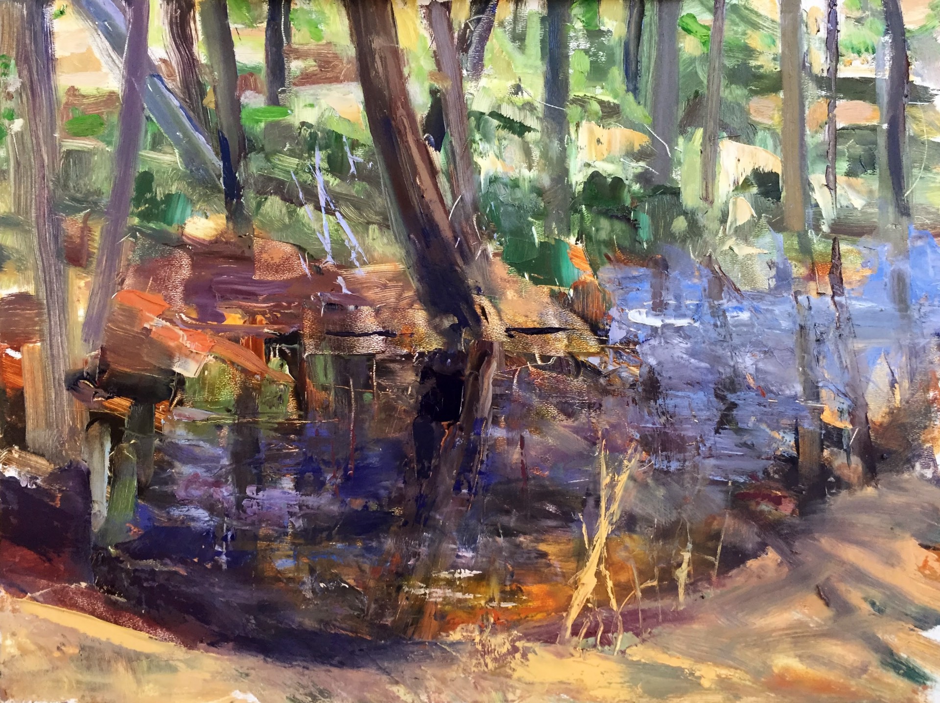Bog (Stream) #1 by Donald Beal