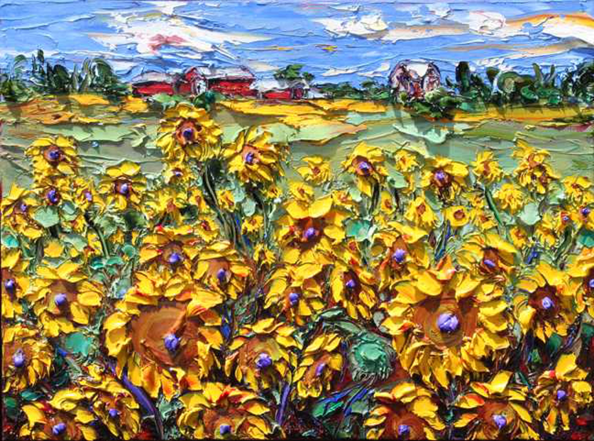 Sunflower Fields Forever by JD Miller