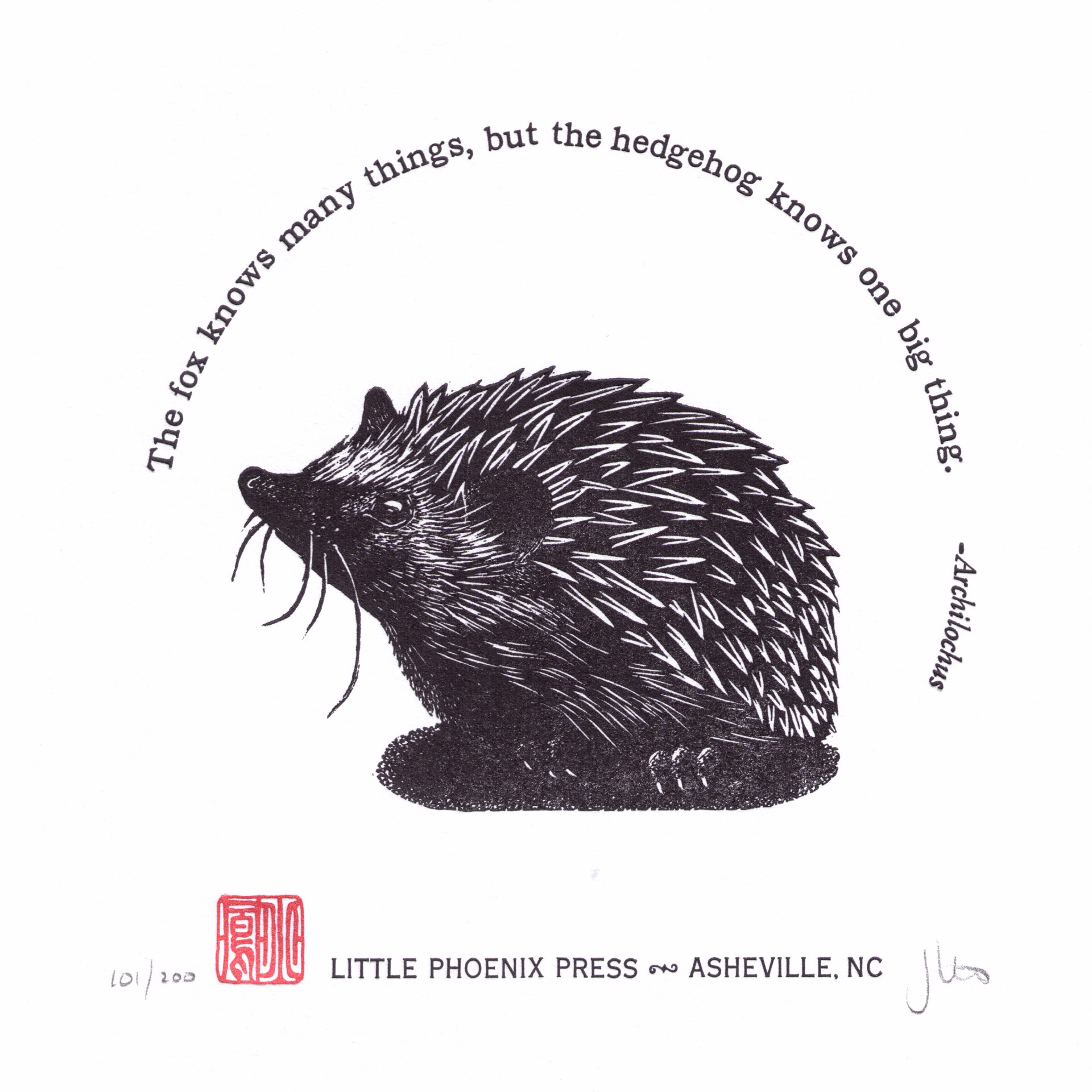 Hedgehog Knows by Jessica White
