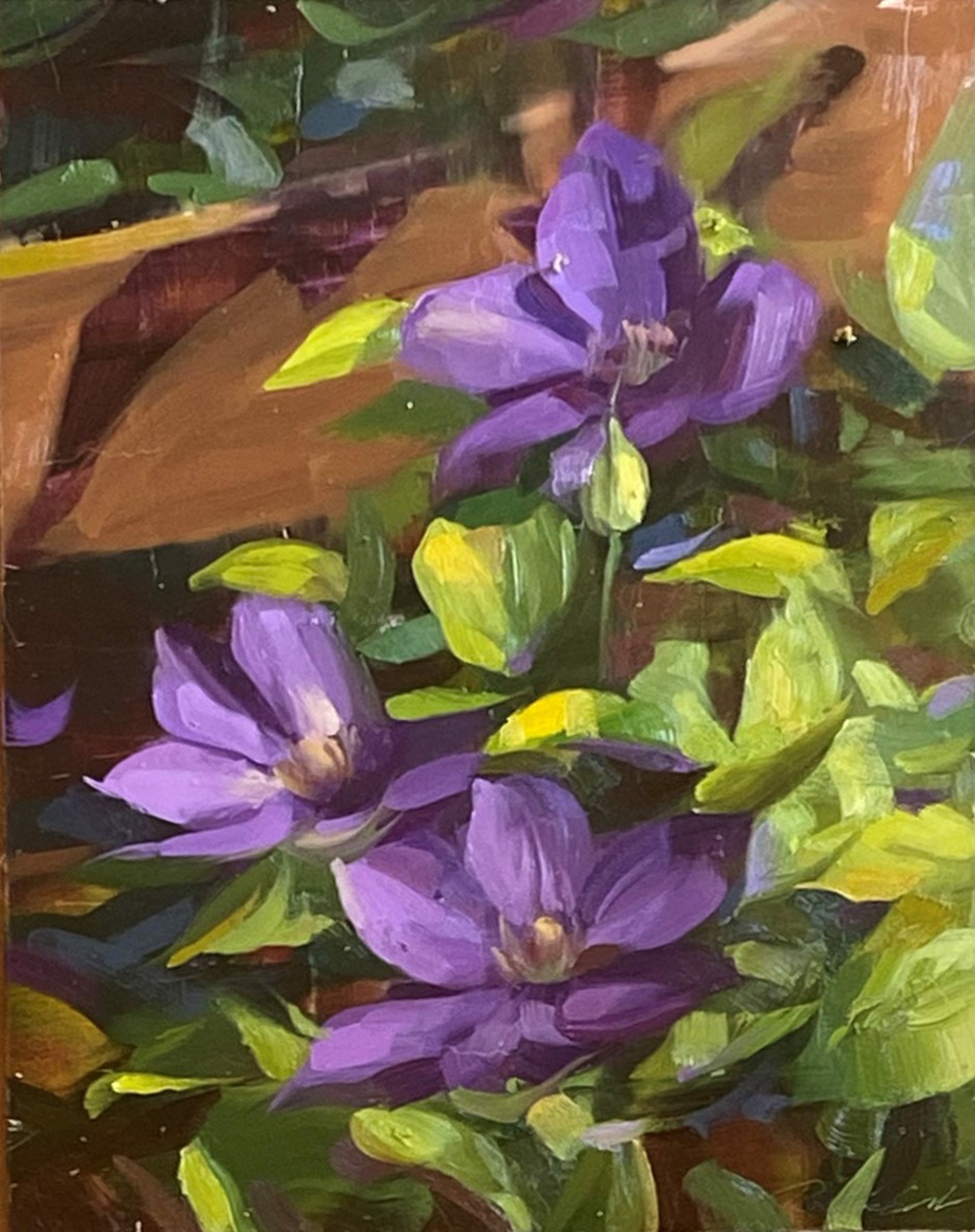 Clematis by Robin Cole