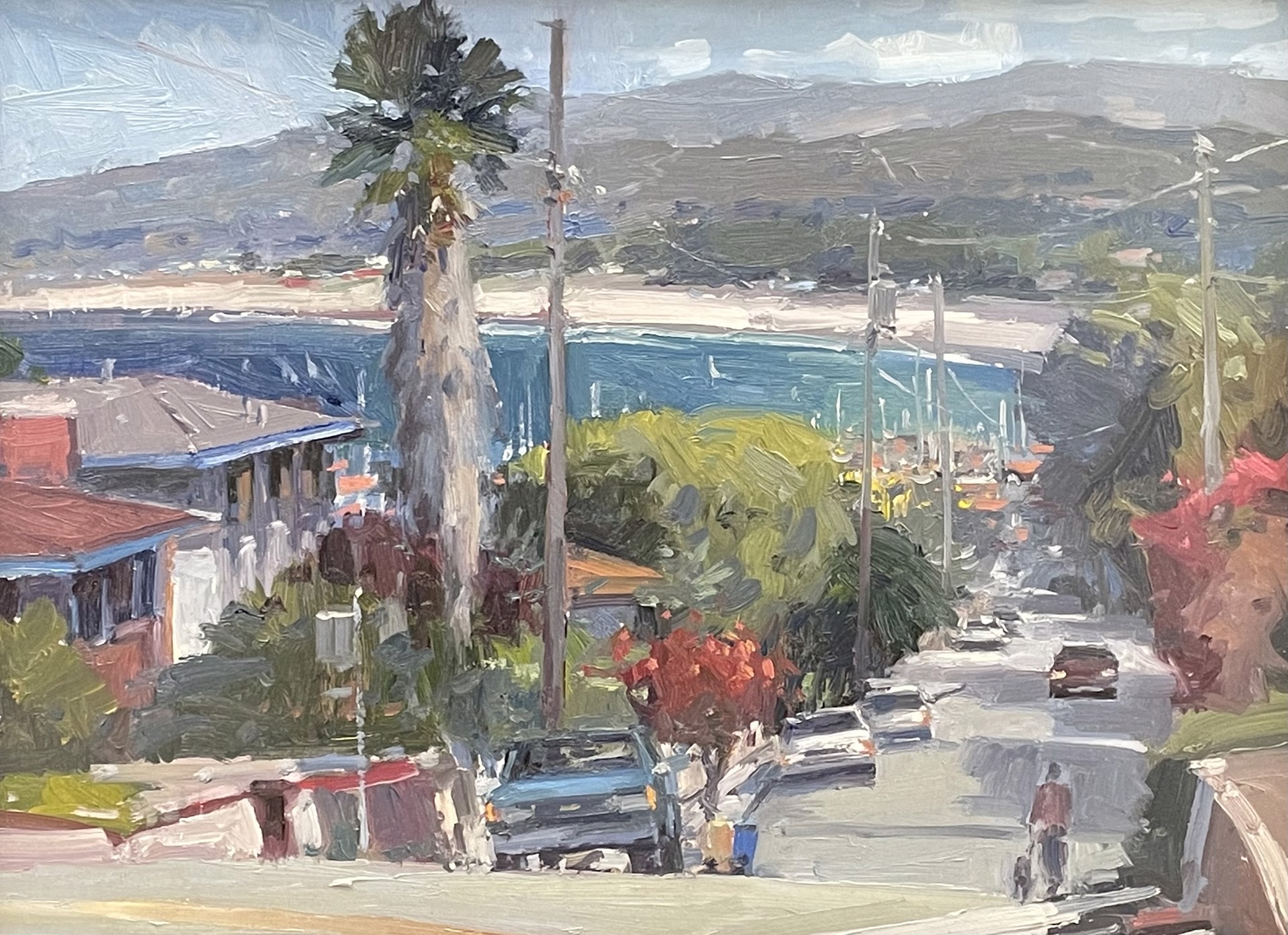 Vista To Monterey Bay by Ronaldo Macedo