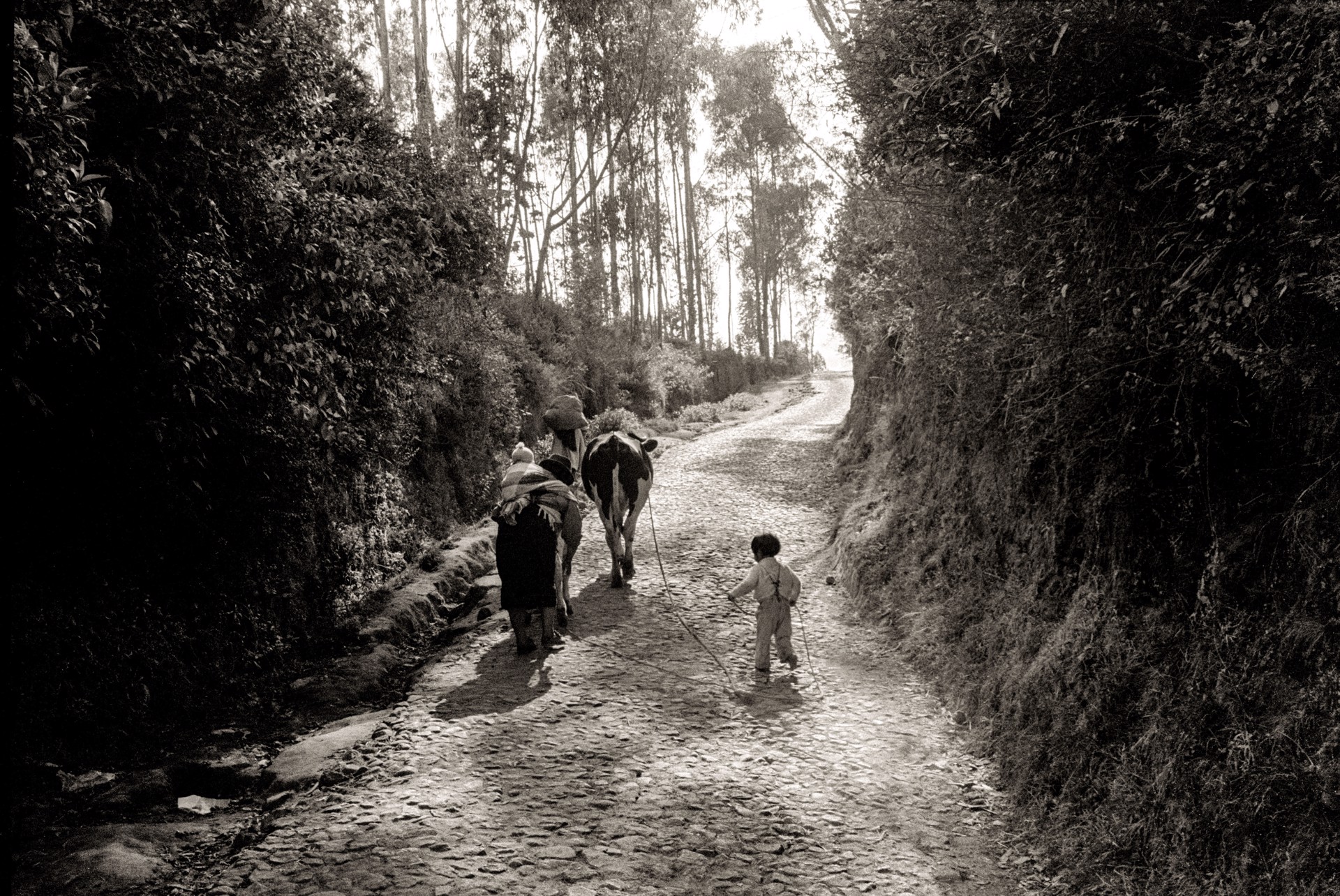 Walking Uphill, Unframed (091) by Jack Dempsey