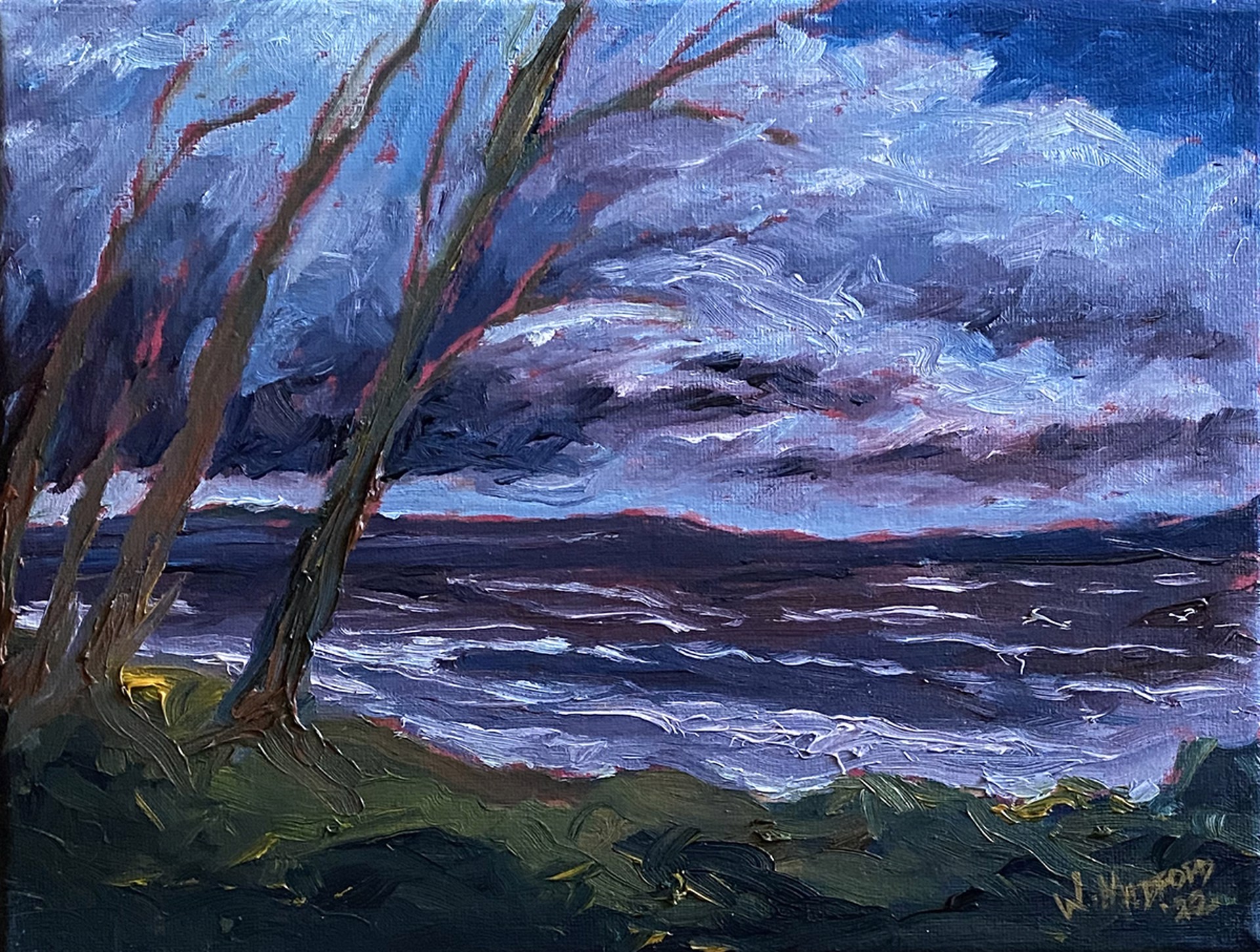 Storm Over Cameron by Wayne Medford