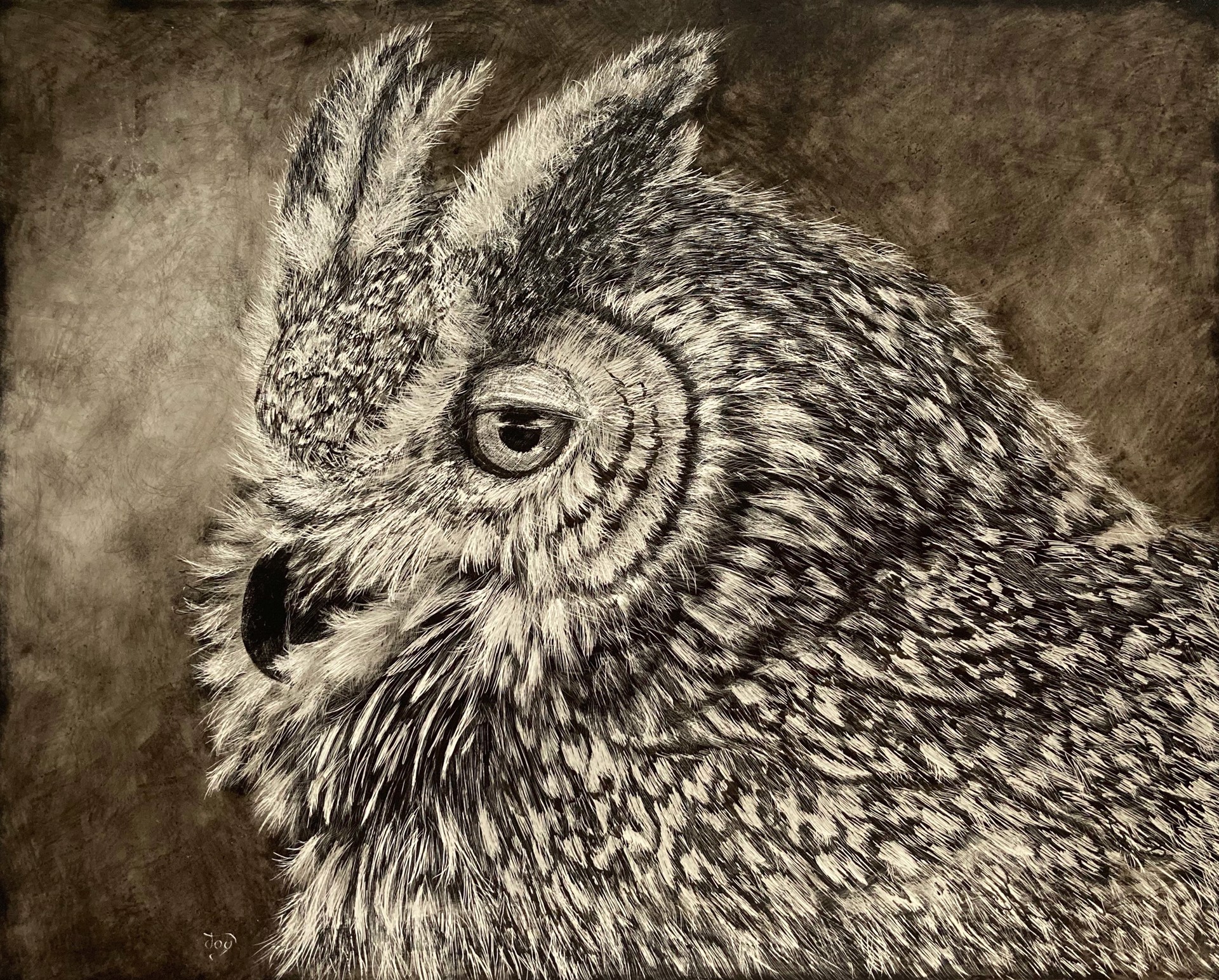 Juvenile Great Horned Owl by Joy McCallister