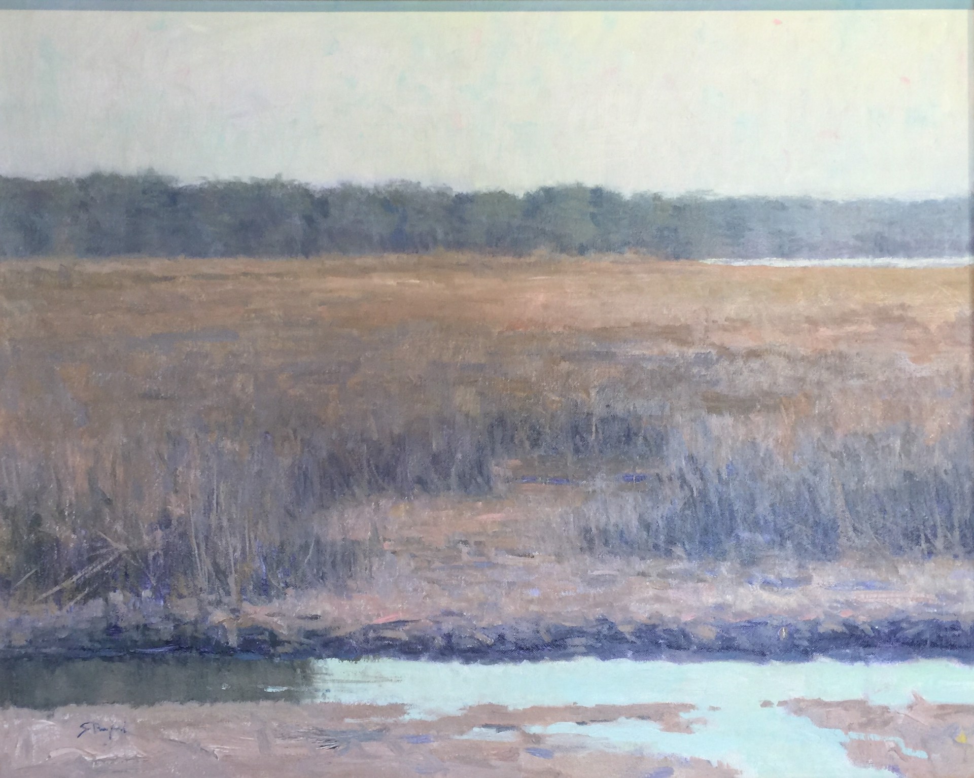 Sea Island Marsh by John Stanford
