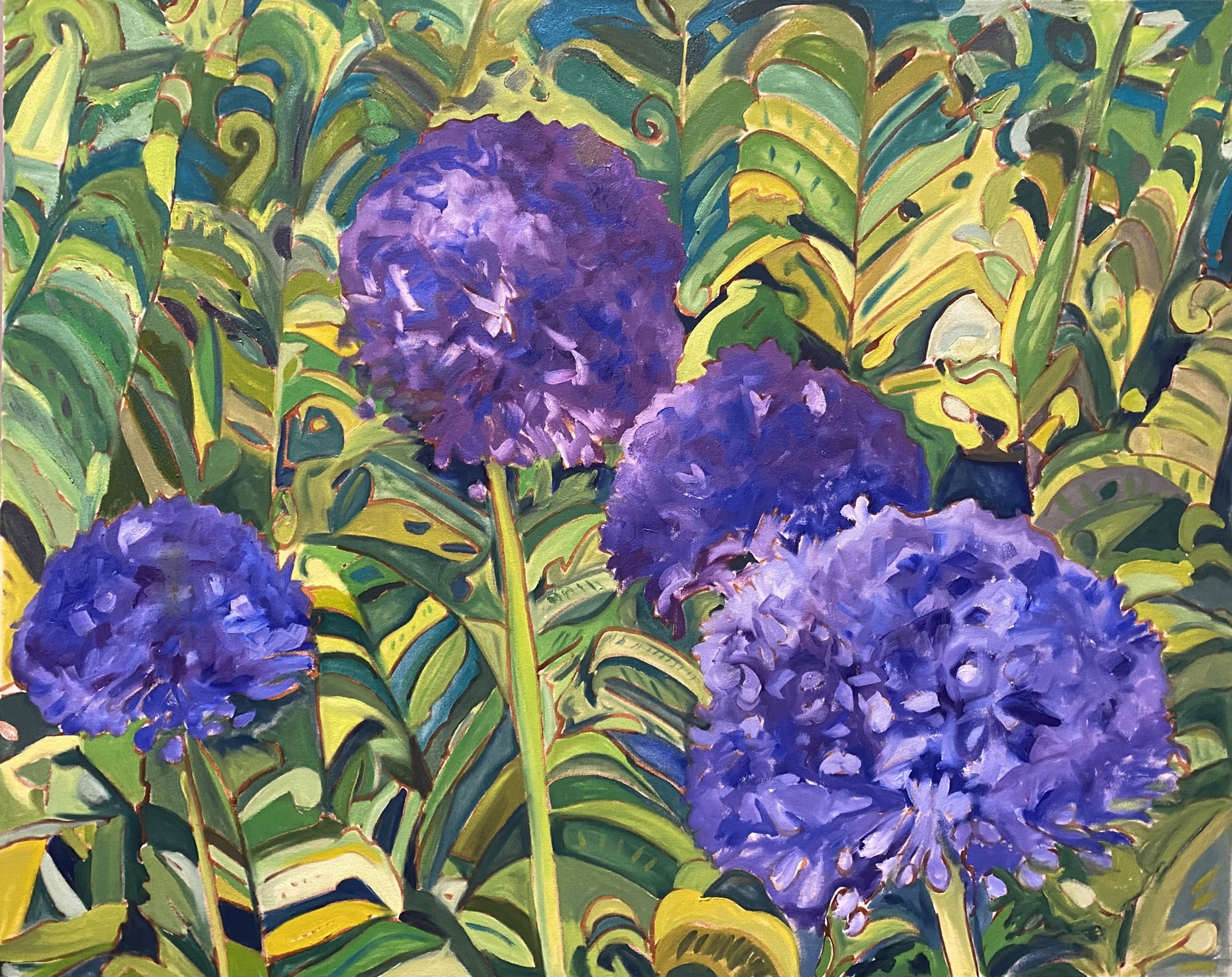 Allium in The Ferns by Maggie Bandstra