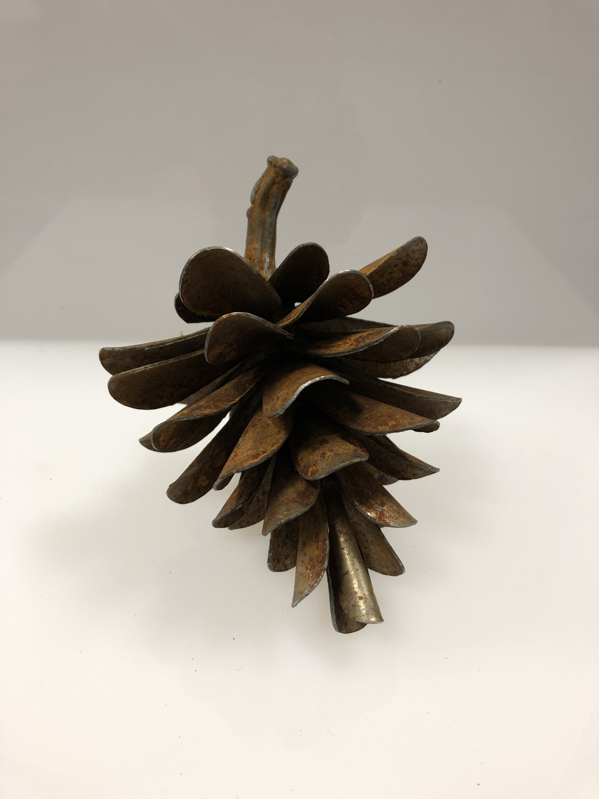 Pine Cone #19-690 by Floyd Elzinga