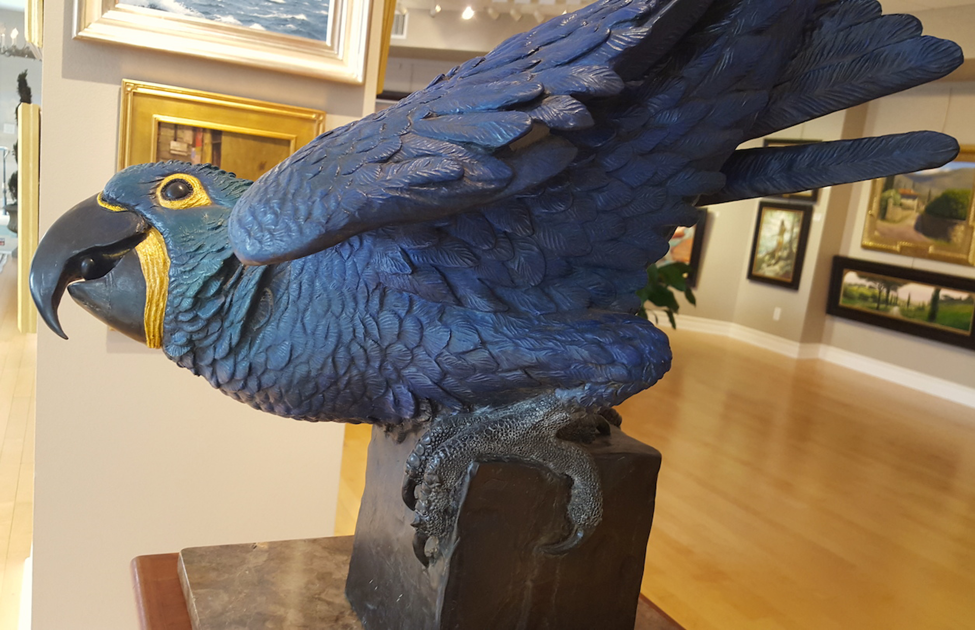 Hyacinth Macaw by Katherine Spalding