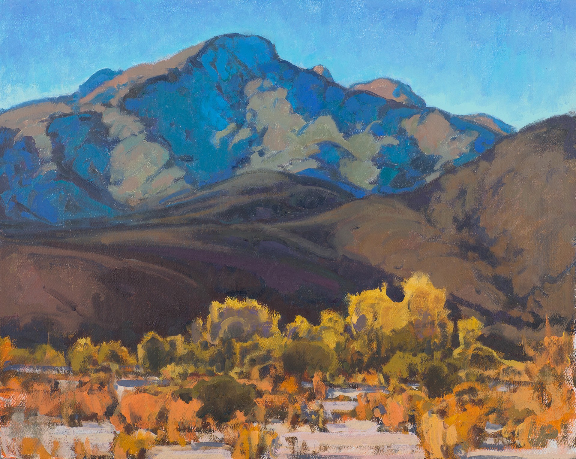 Desert Color Return by Bill Gallen