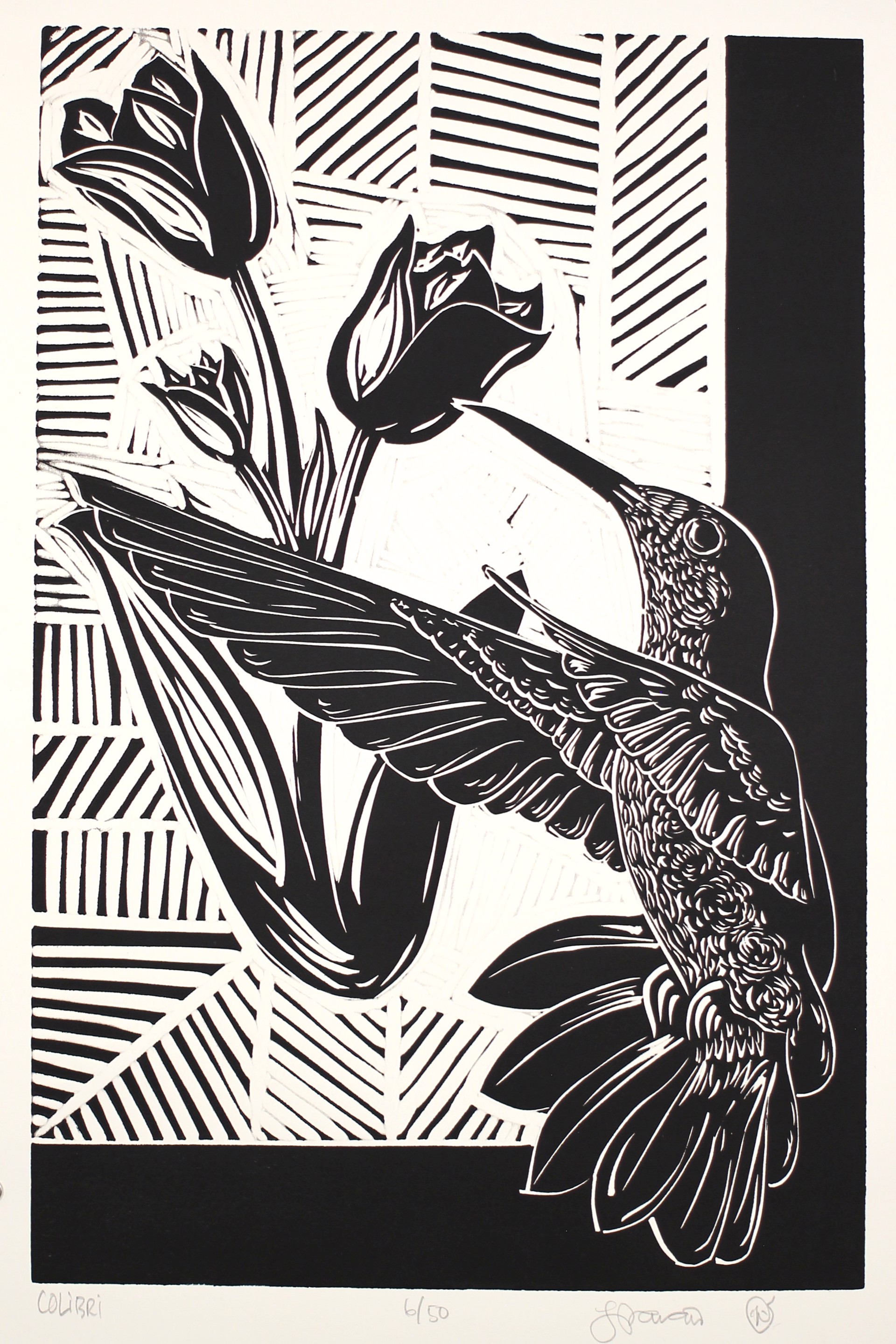 Colibri by Luis Garcia