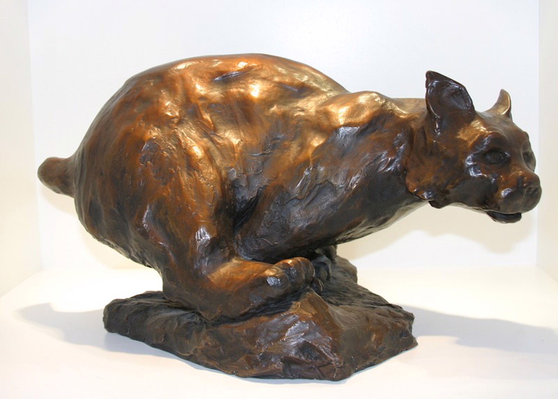 Bobcat - Large by Fran Jenkins