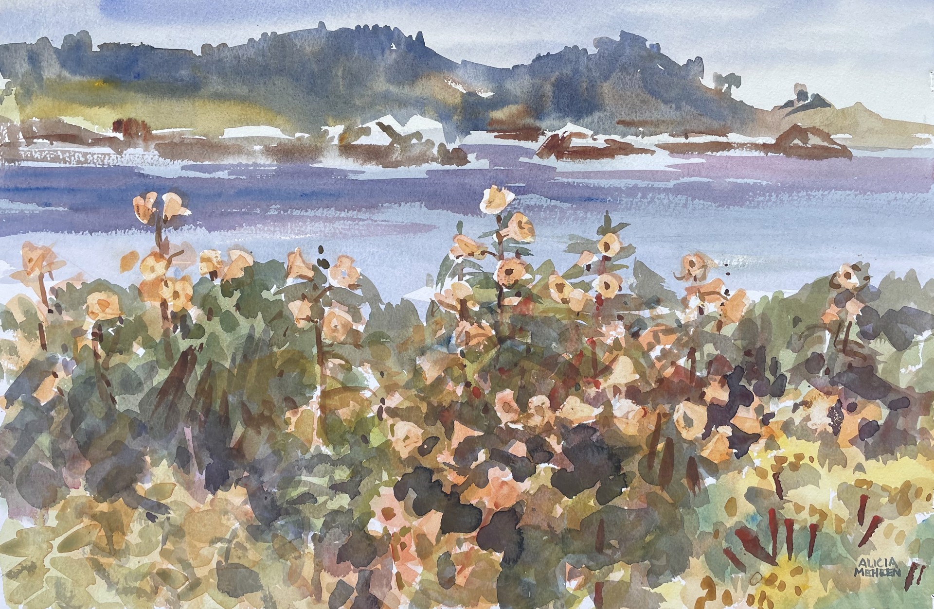 Pt Lobos with Sticky Monkey by Alicia Meheen