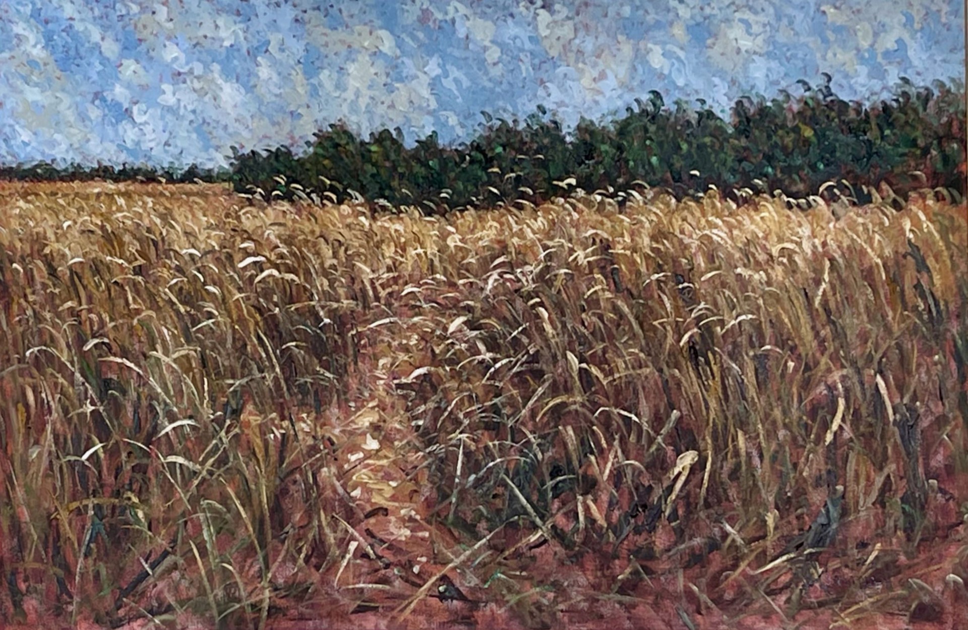 Wheat and Wind by Samir Sammoun