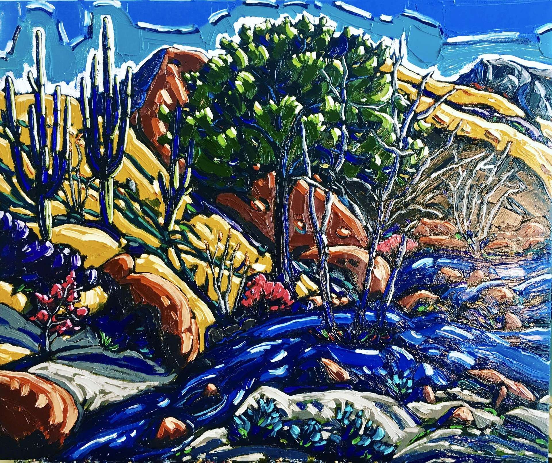 Arizona Oak by Neil Myers
