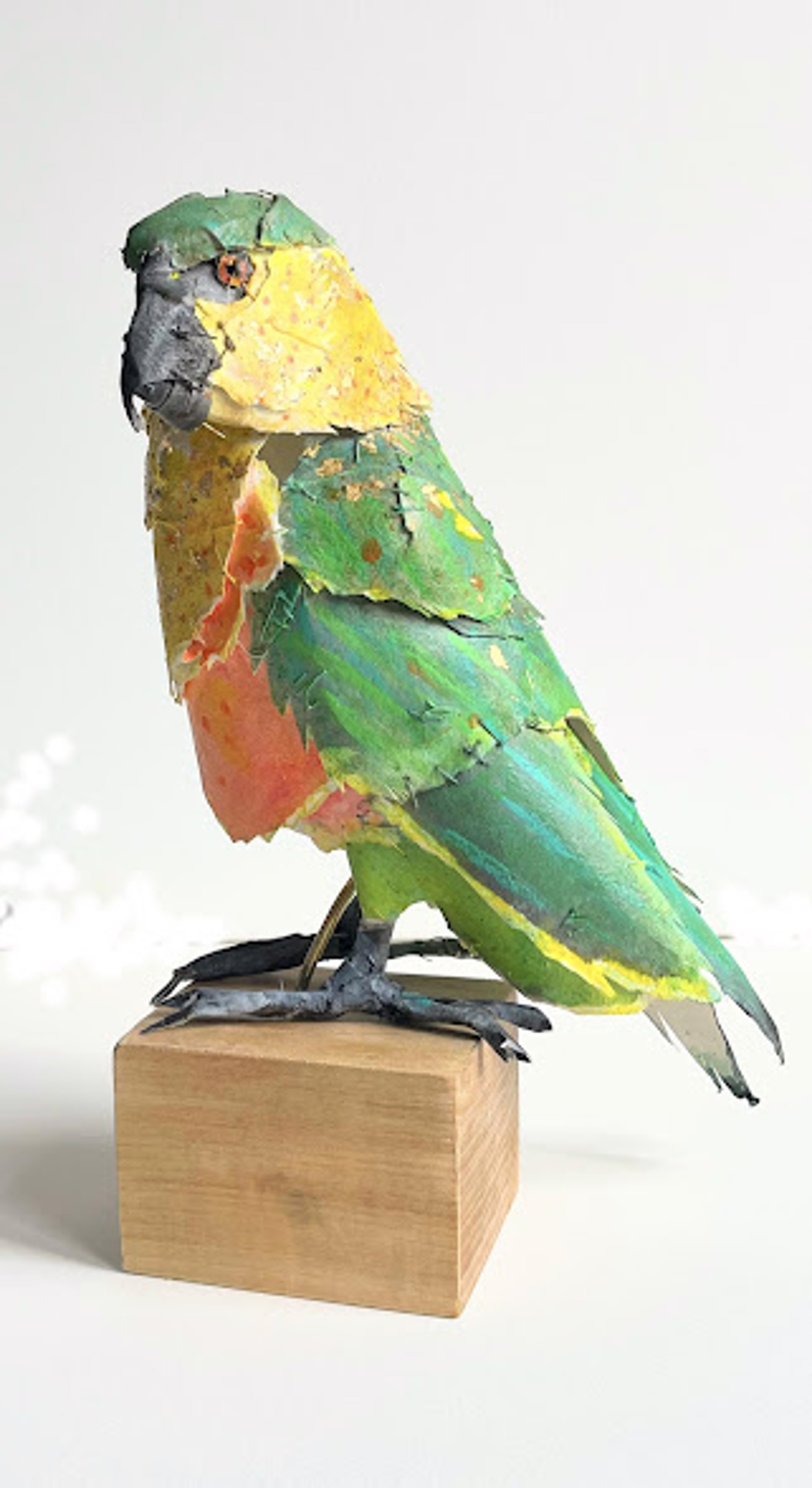 Pompous Parrot by Cathy Rowten