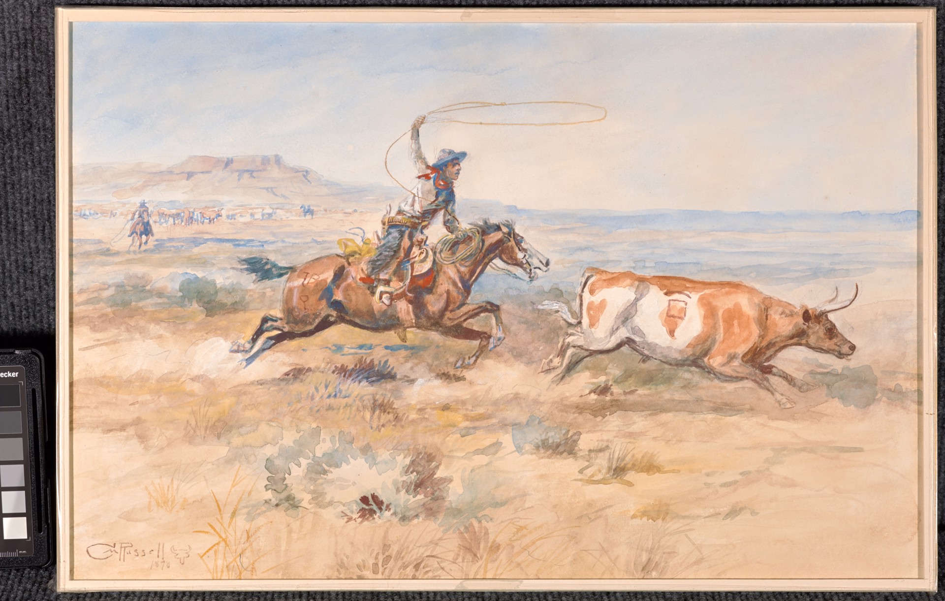 Roping a Steer by Charles M. Russell