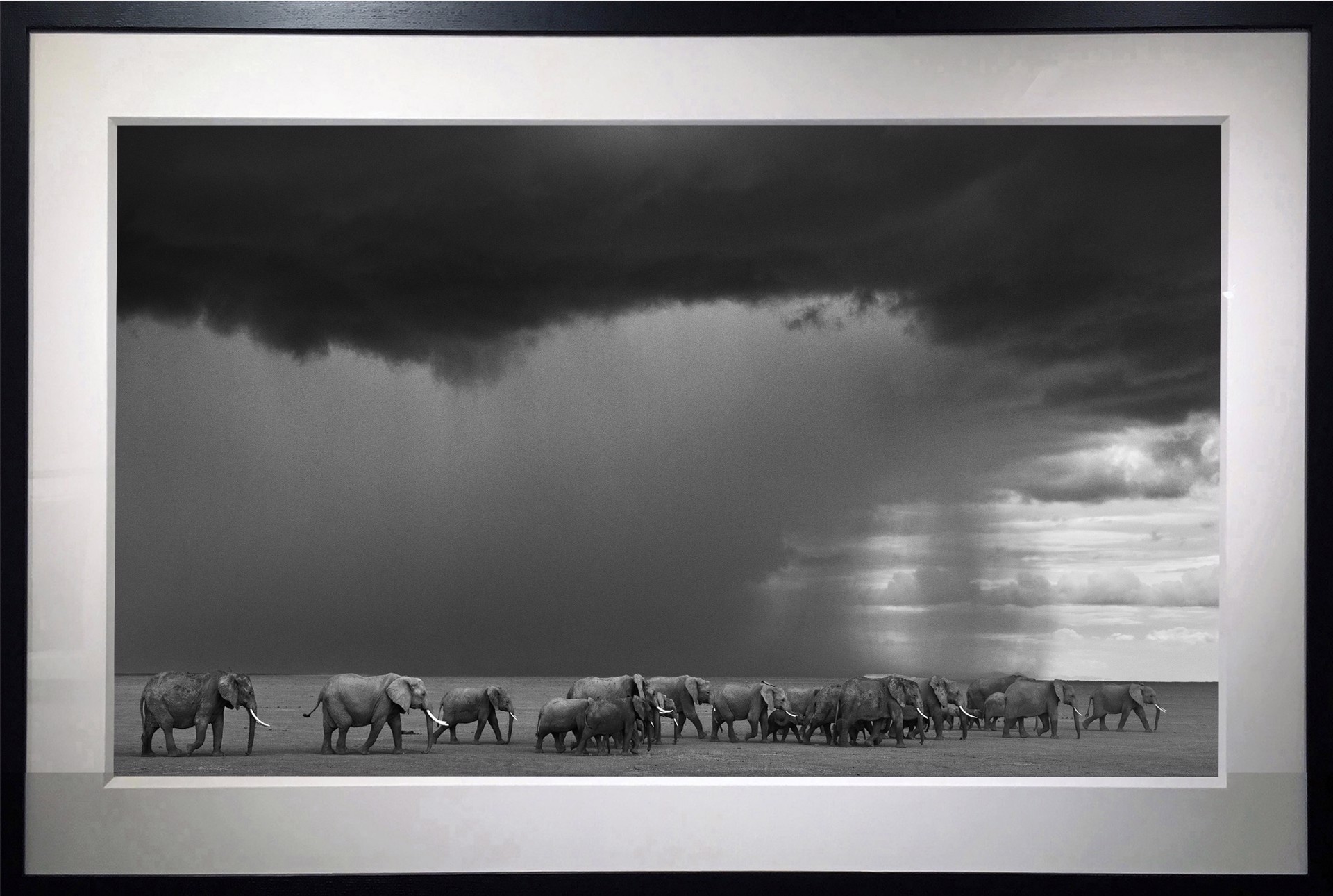 The Gathering Storm by David Yarrow