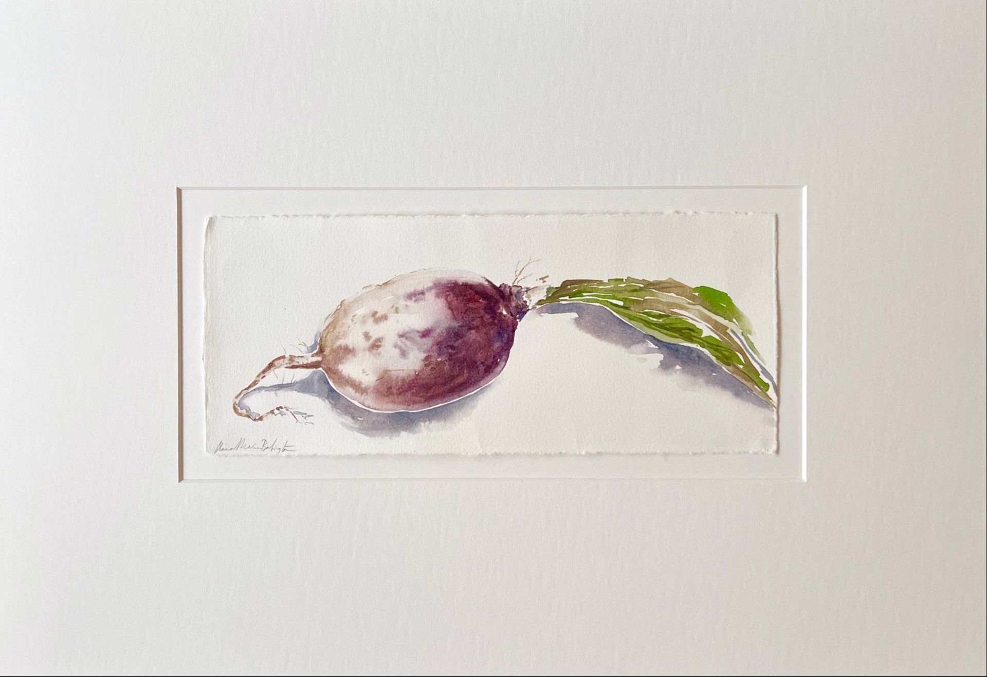 Turnip by Anna-Marie Babington