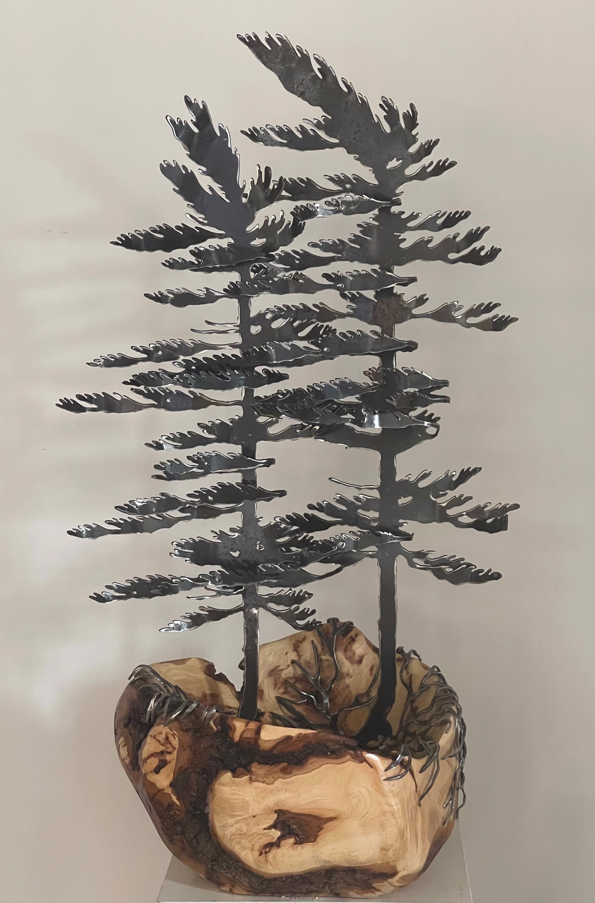 Two Windswept Pine on Hard Maple 659394 by Cathy Mark