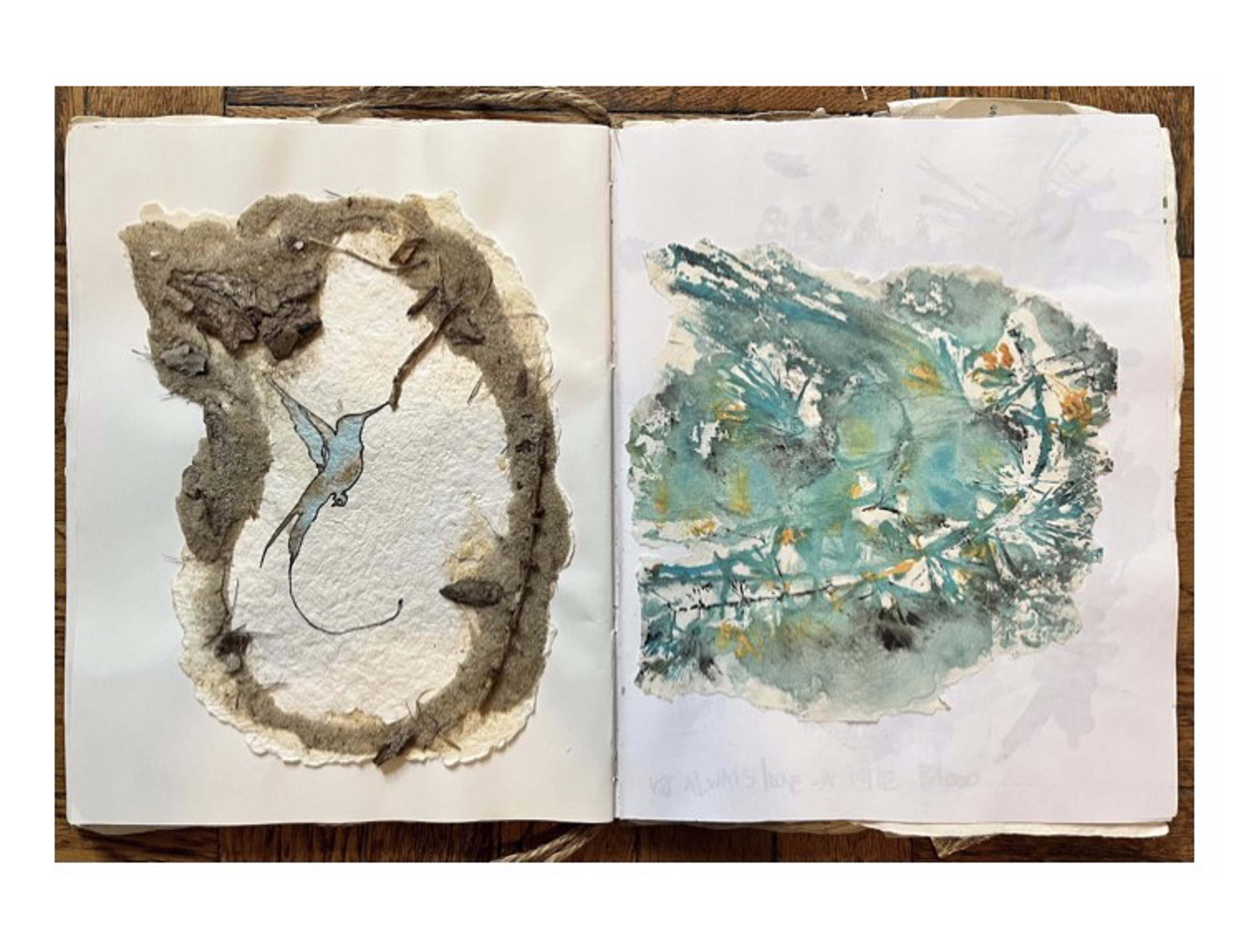 "Journalistic Art Book #14 Hummingbird & Eagle" by Pamella Allen