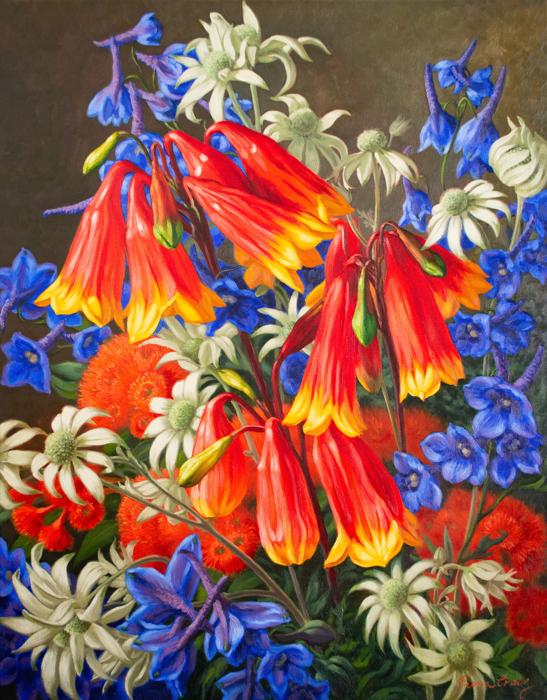 Blandfordia and Flannel Flowers by Fiona Craig