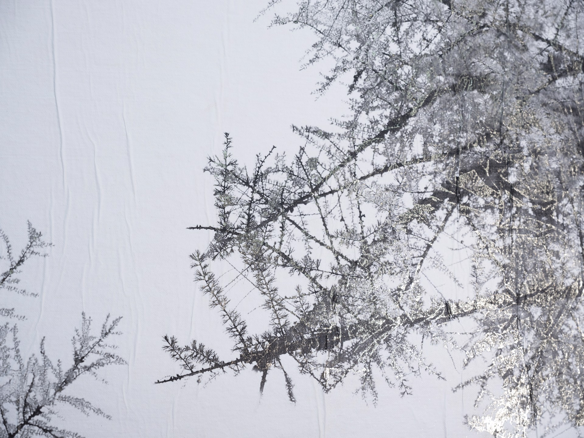 Larch Forest Canopy by Bill Claps