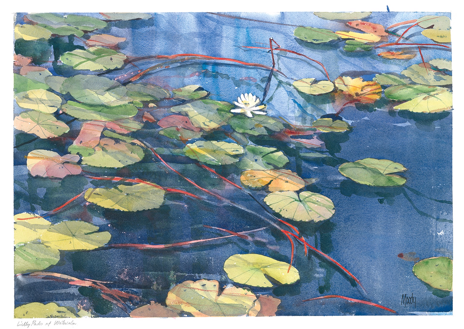 Waterlilies and Blue Water by Bob Moody