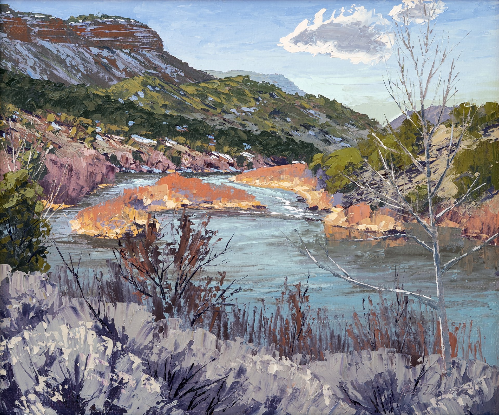 Colors of the Rio Grande by Ken Daggett