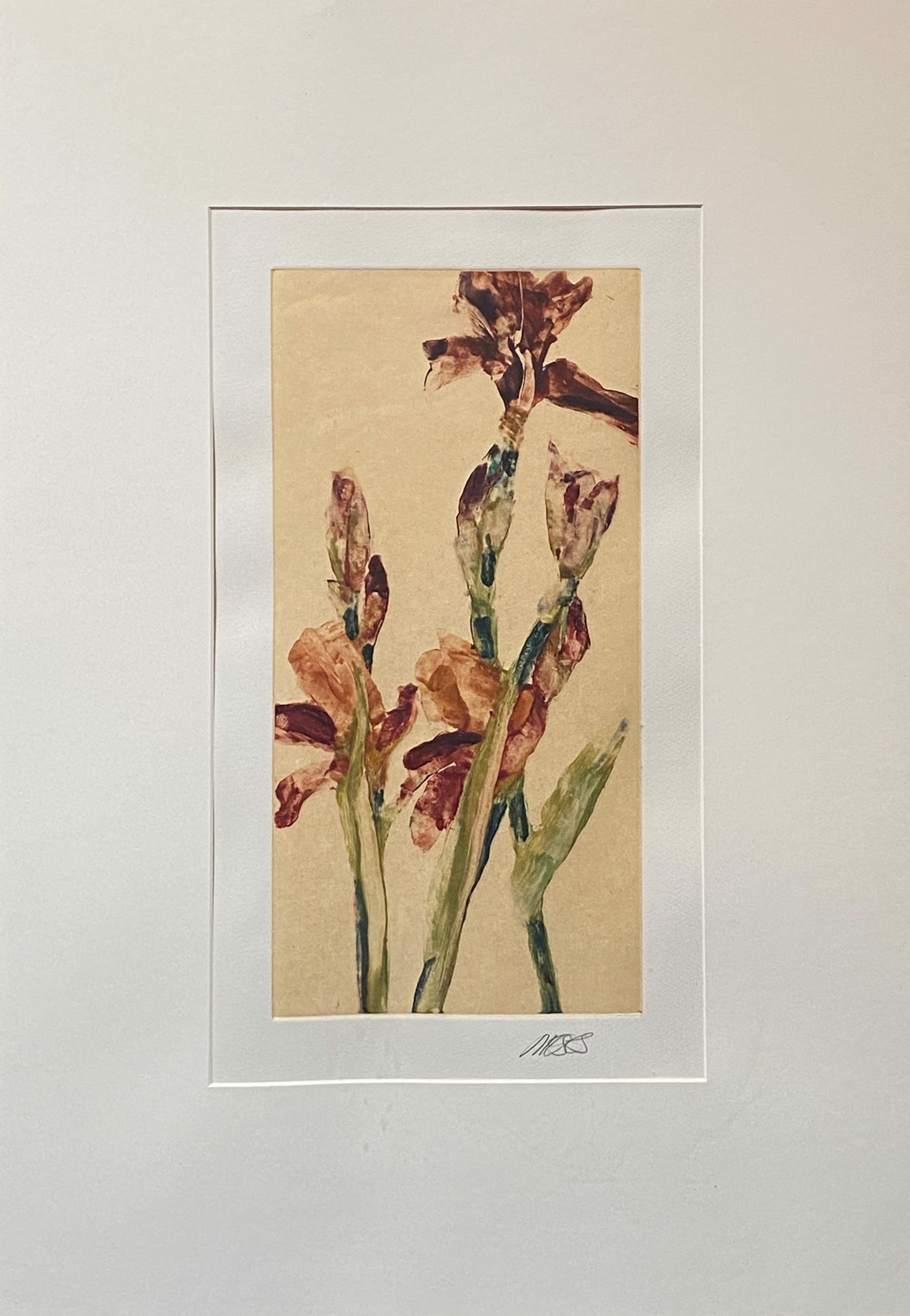 Untitled Irises by Forrest Moses