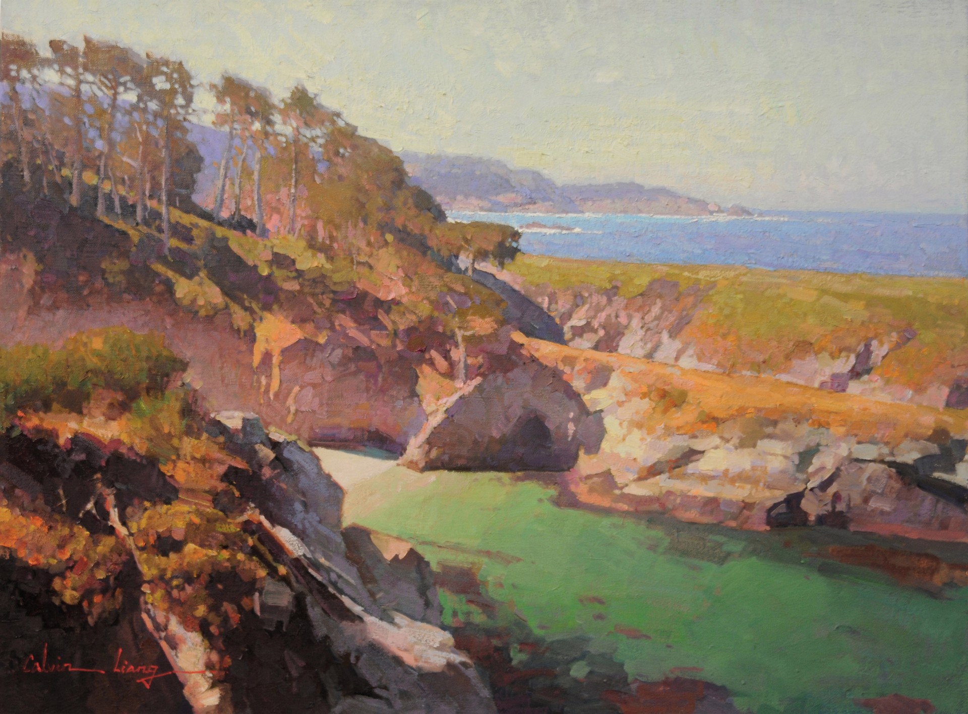 A View from Point Lobos Carmel - AWARD WINNER - AWARD OF EXCELLENCE by Calvin Liang