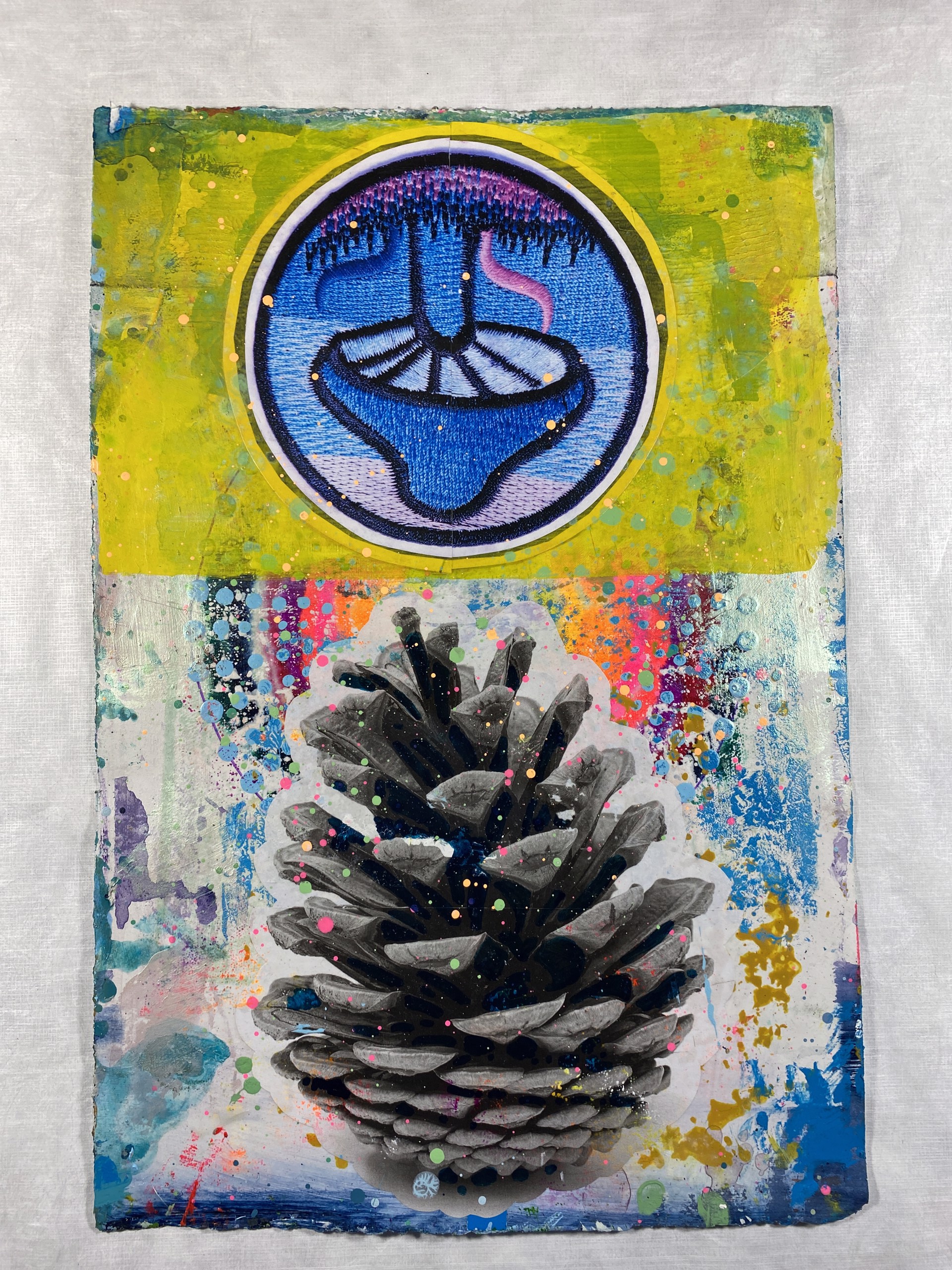 Magic Mushroom Patch + Open Pinecone Pineal by Jason Rohlf