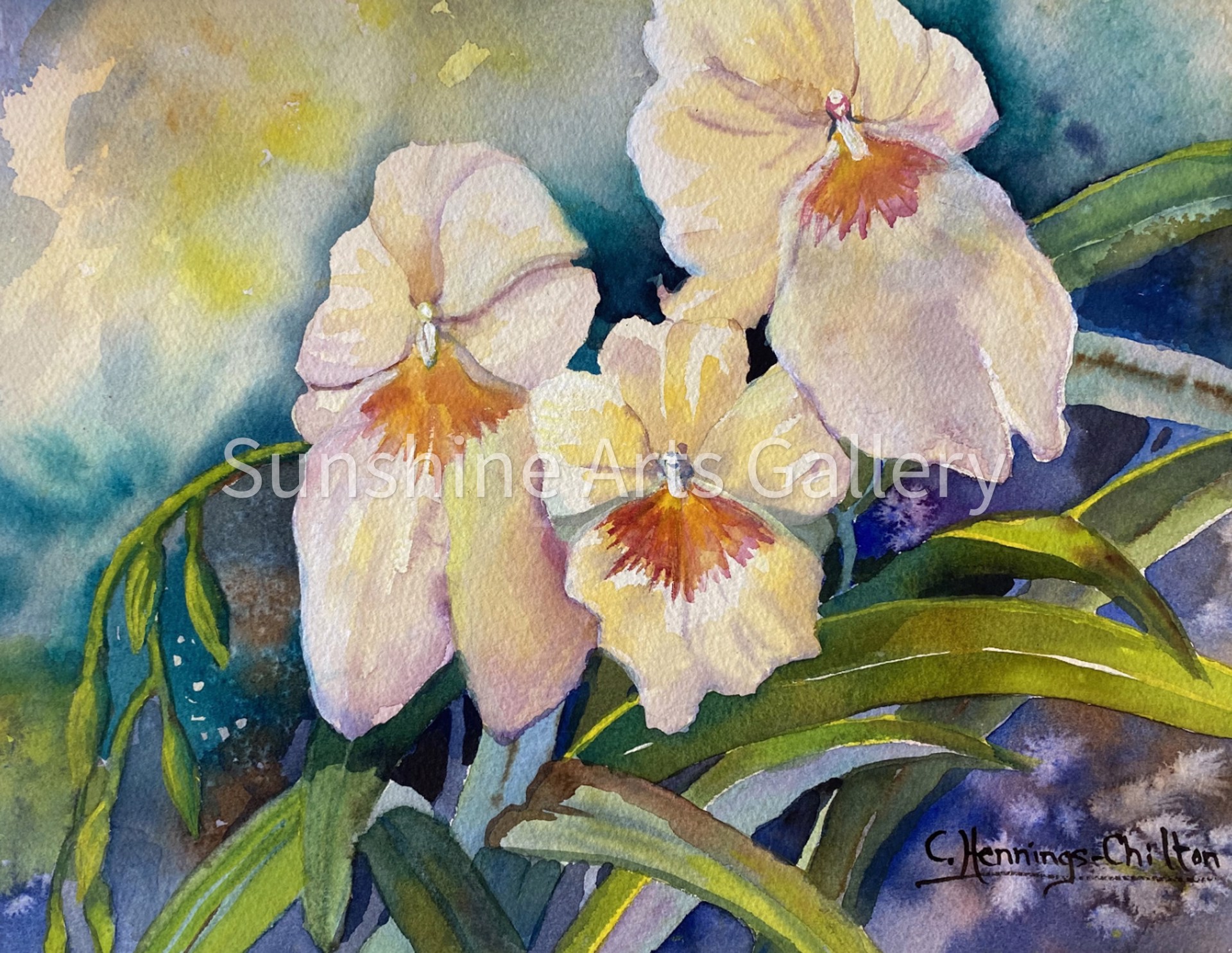 Miltonia Orchid by Connie Hennings-Chilton