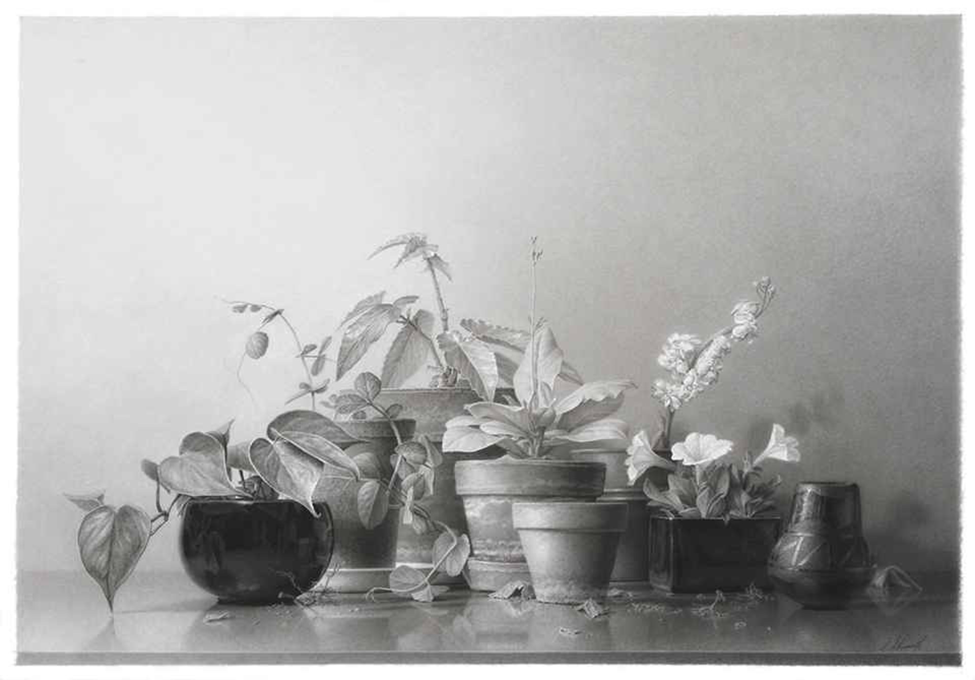 Pots/Plants #4 by Skip Steinworth