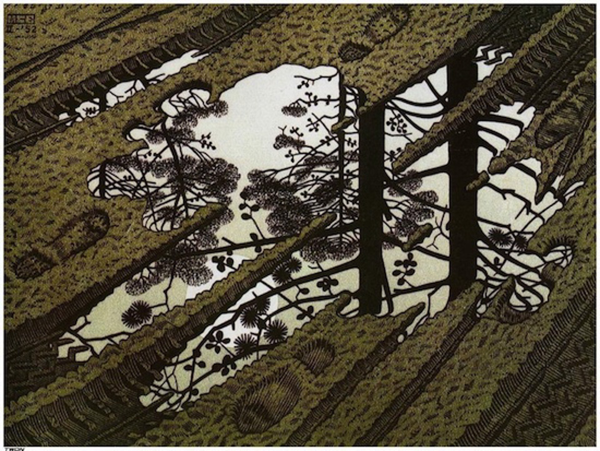 Puddle by M.C. Escher