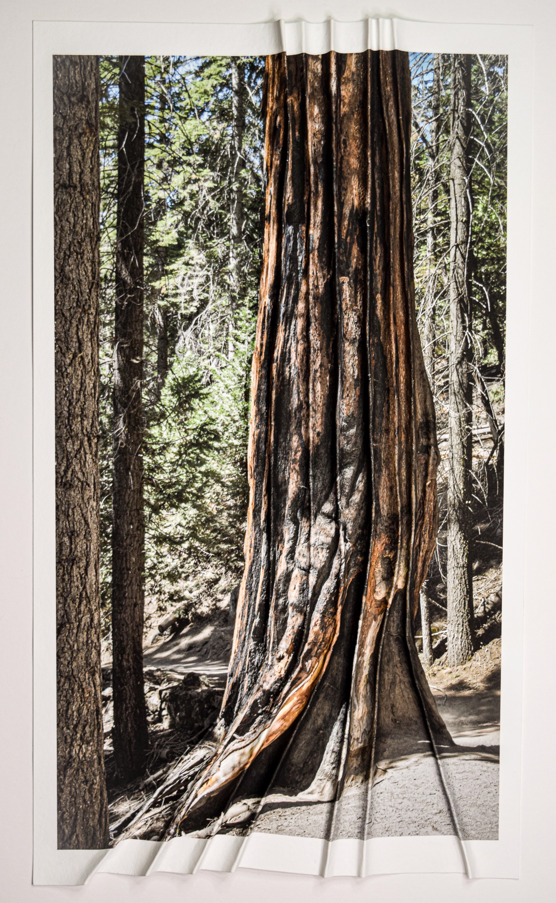 Corrugated Redwood by Debra Achen