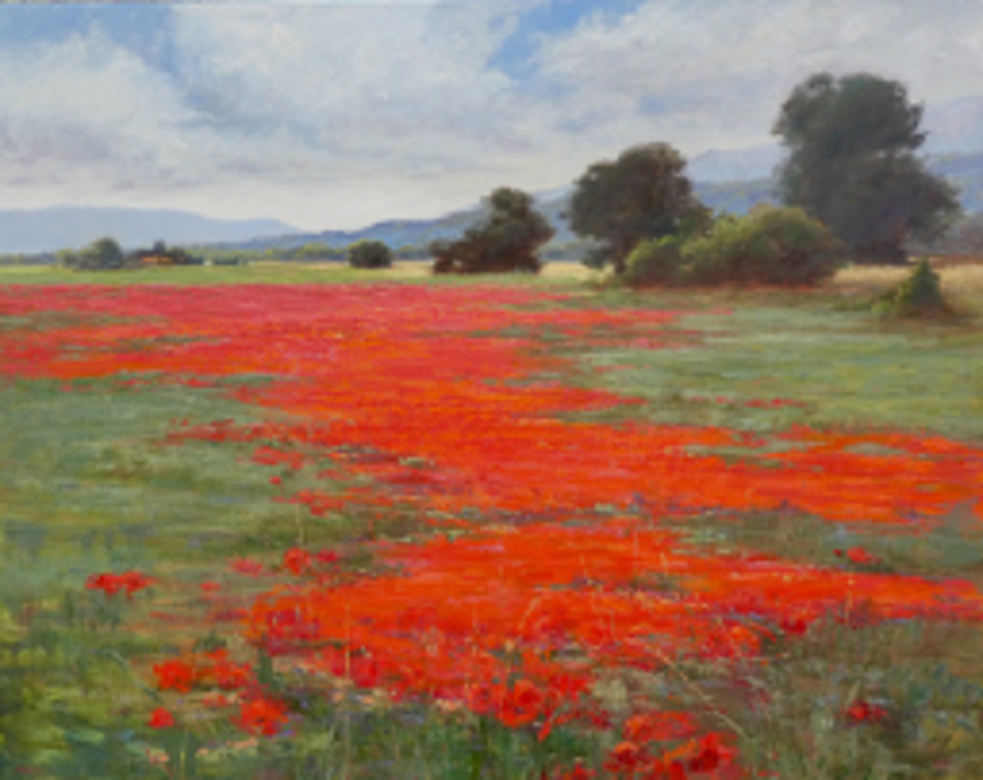 Le Coquellcotes Poppies by Mary Erickson