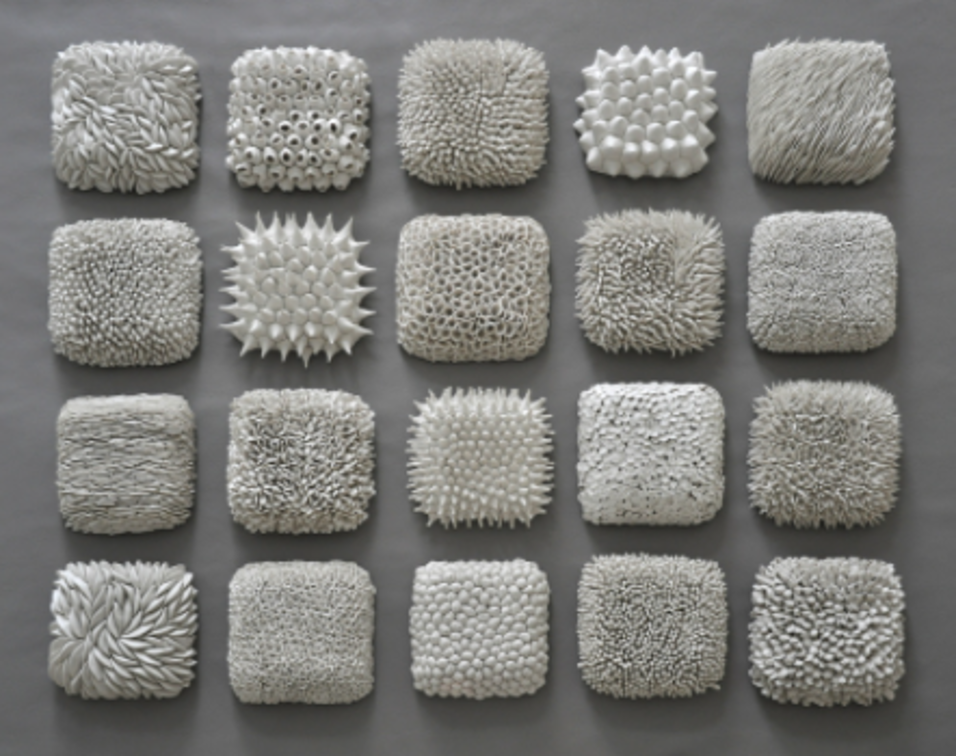 Lichen by Heather Knight