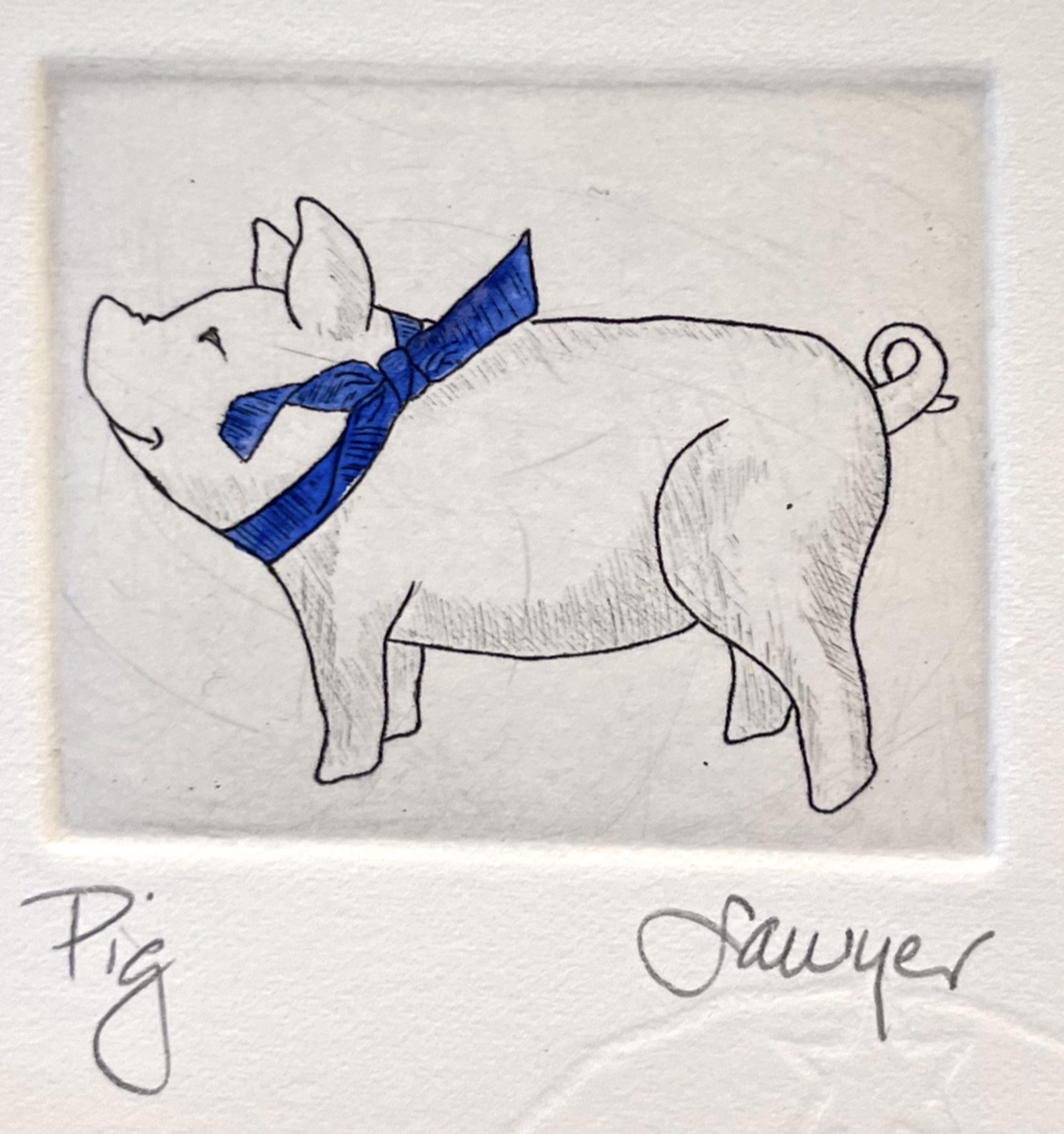 Pig (unframed) by Anne Sawyer